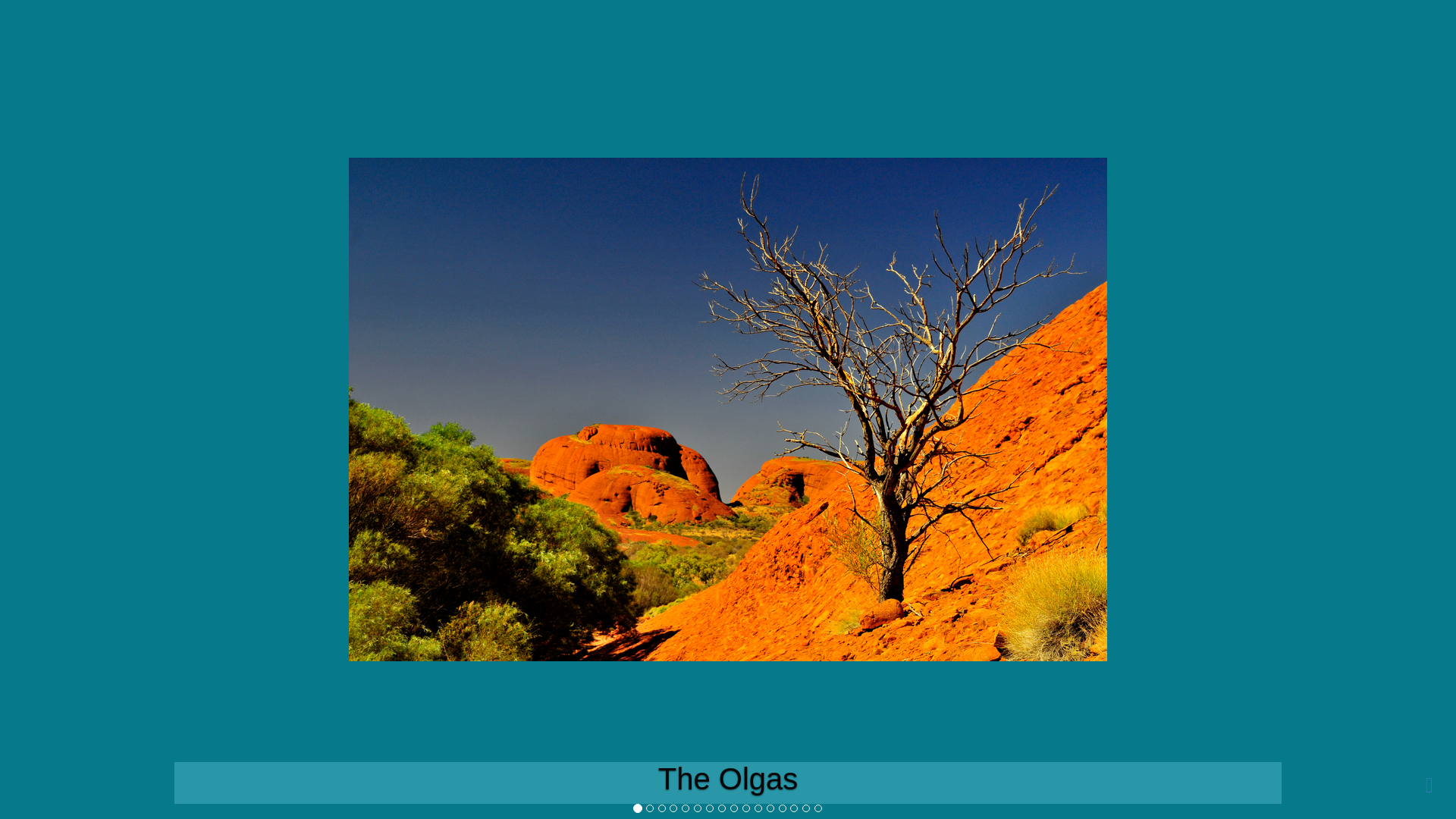 website screenshot of https://dfa099d5-50dd-4485-47c9-e6e8cd02d618-ci-qa.pages.dev/
