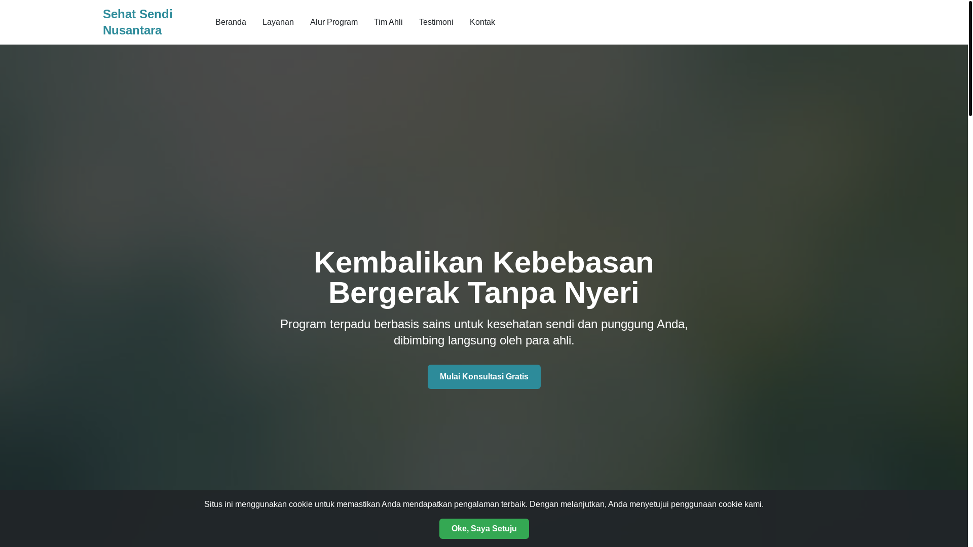 website screenshot of https://careins.site/