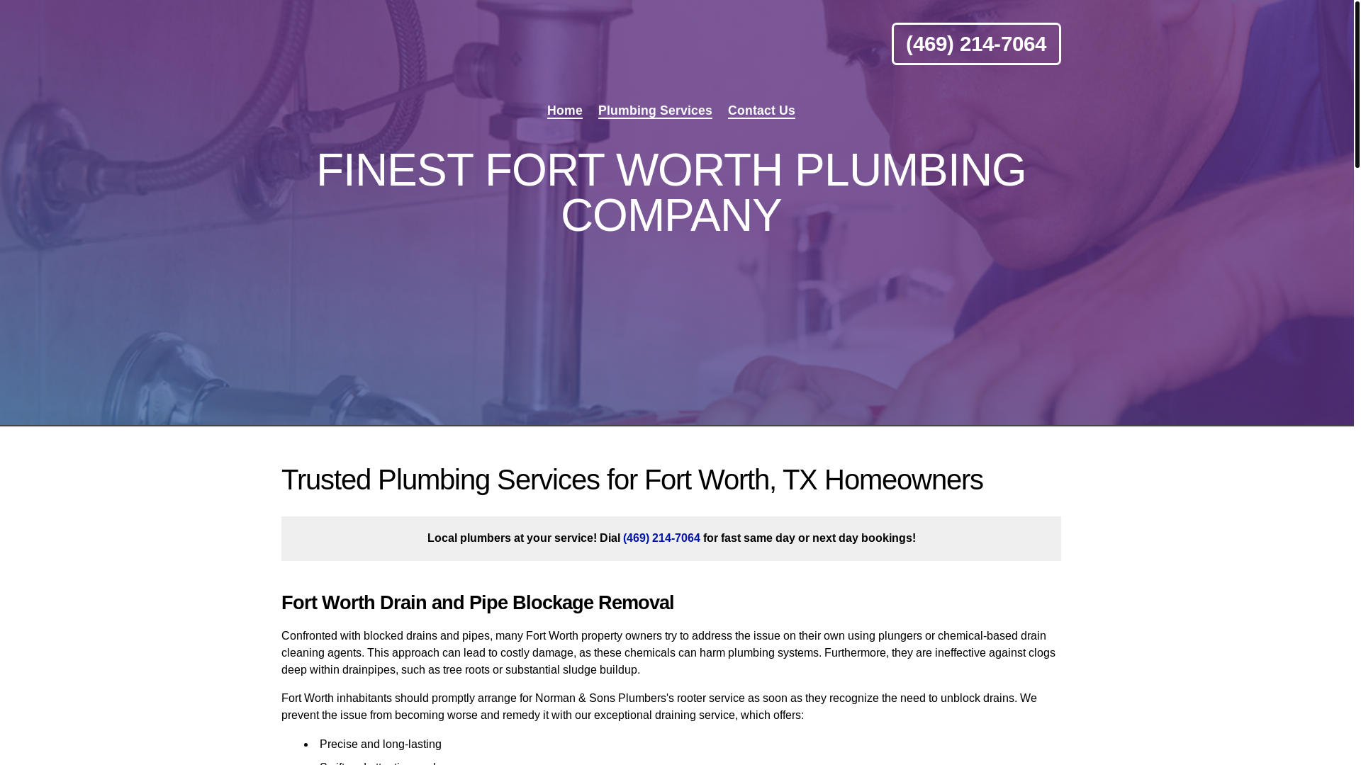website screenshot of https://normanplumbers.online/