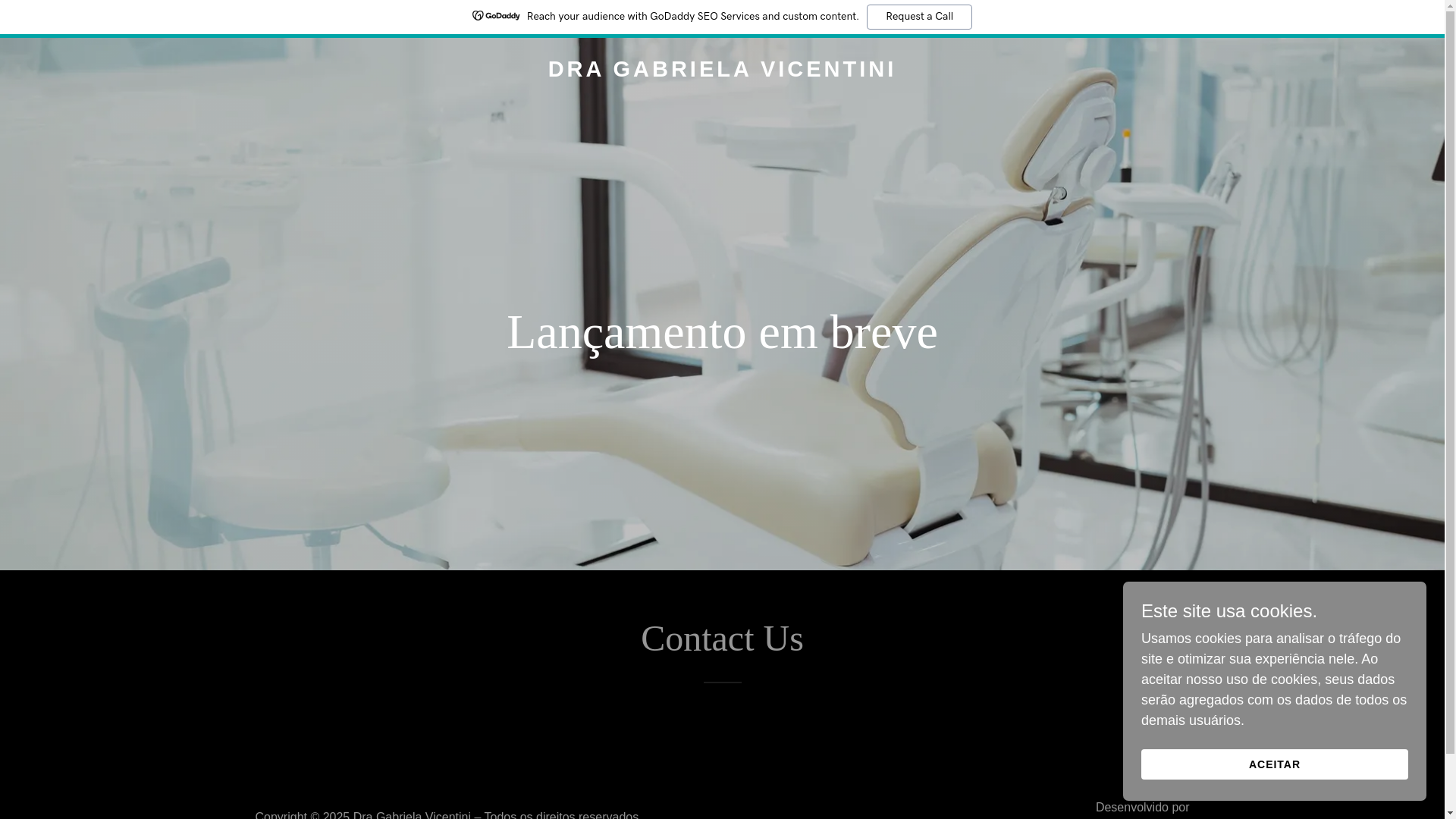 website screenshot of https://gabrielavicentini.com/