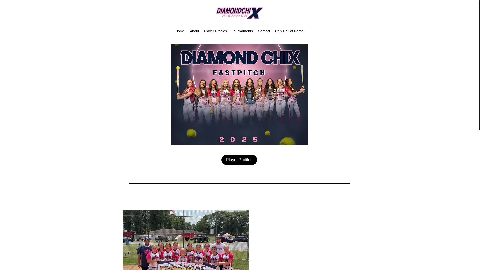 website screenshot of https://diamondchixholcomb.org/