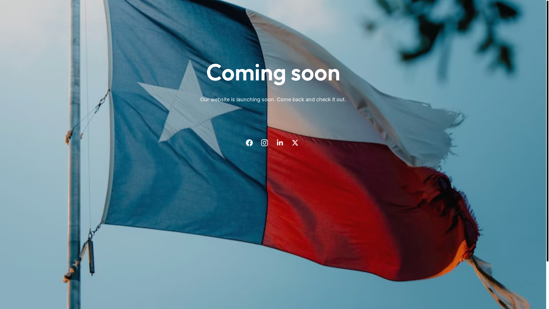 website screenshot of https://texasvalkyrie.org/