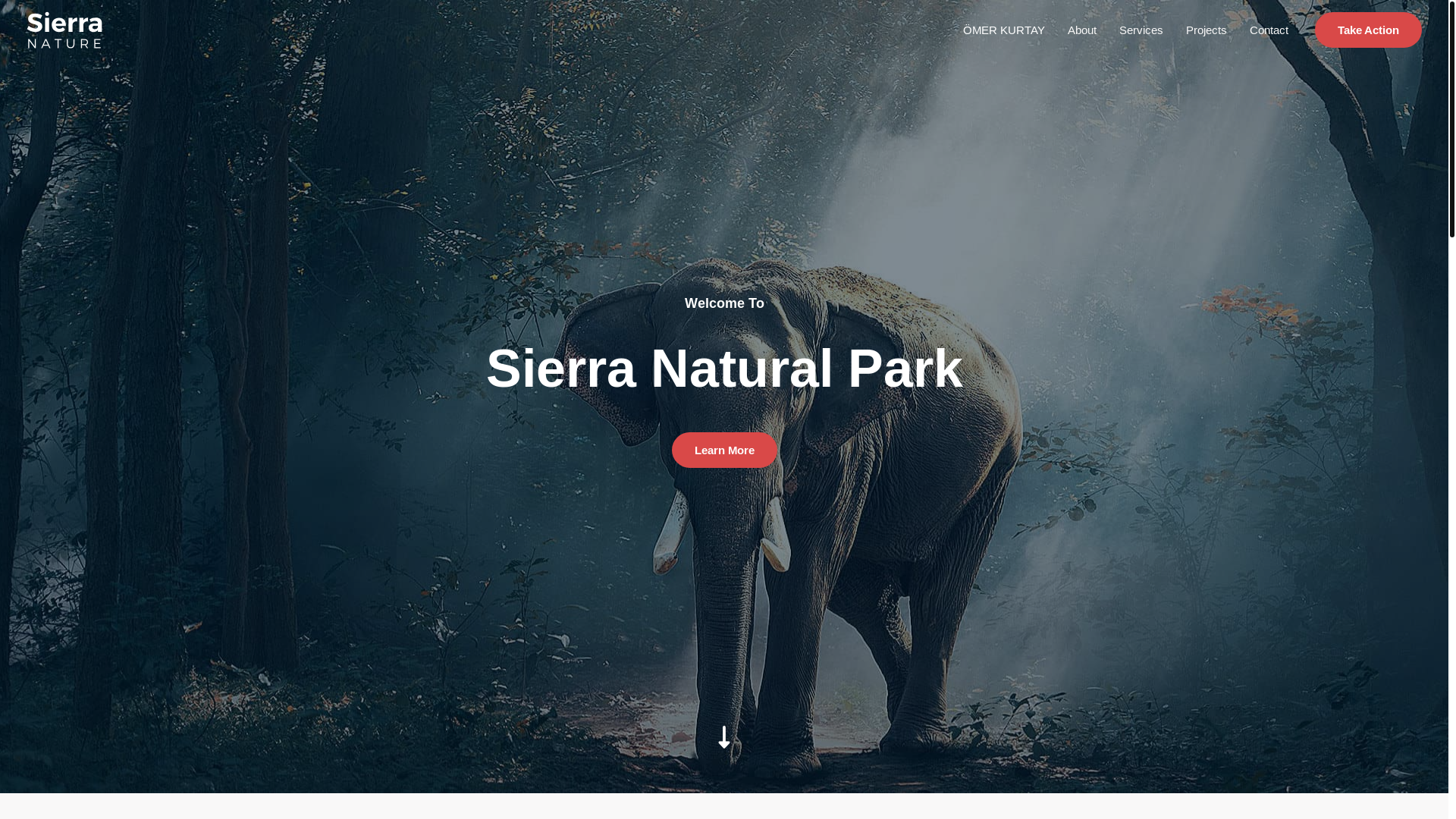 website screenshot of https://omerkurtay.com/