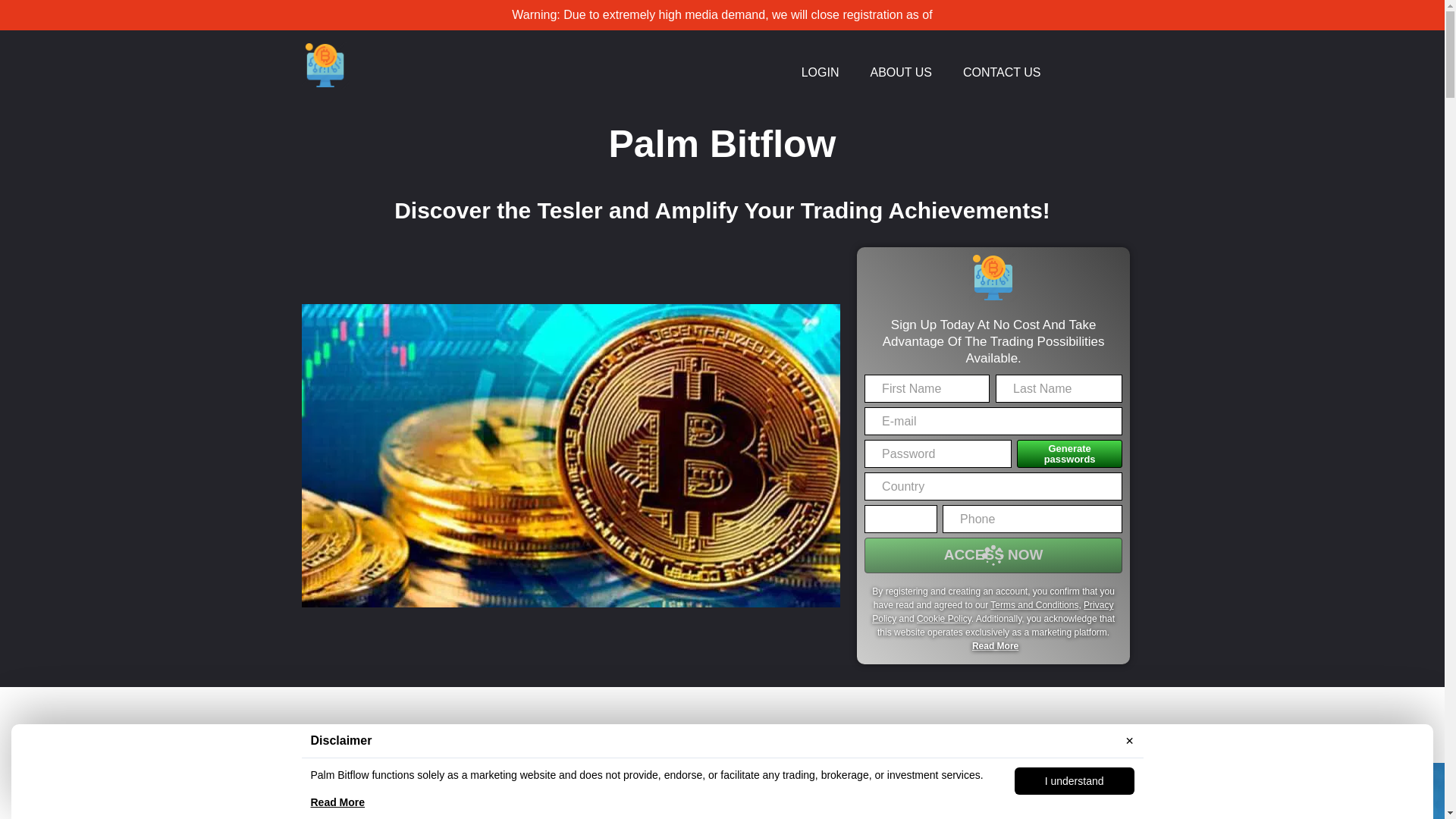 website screenshot of http://palm-bitflow-system.com/