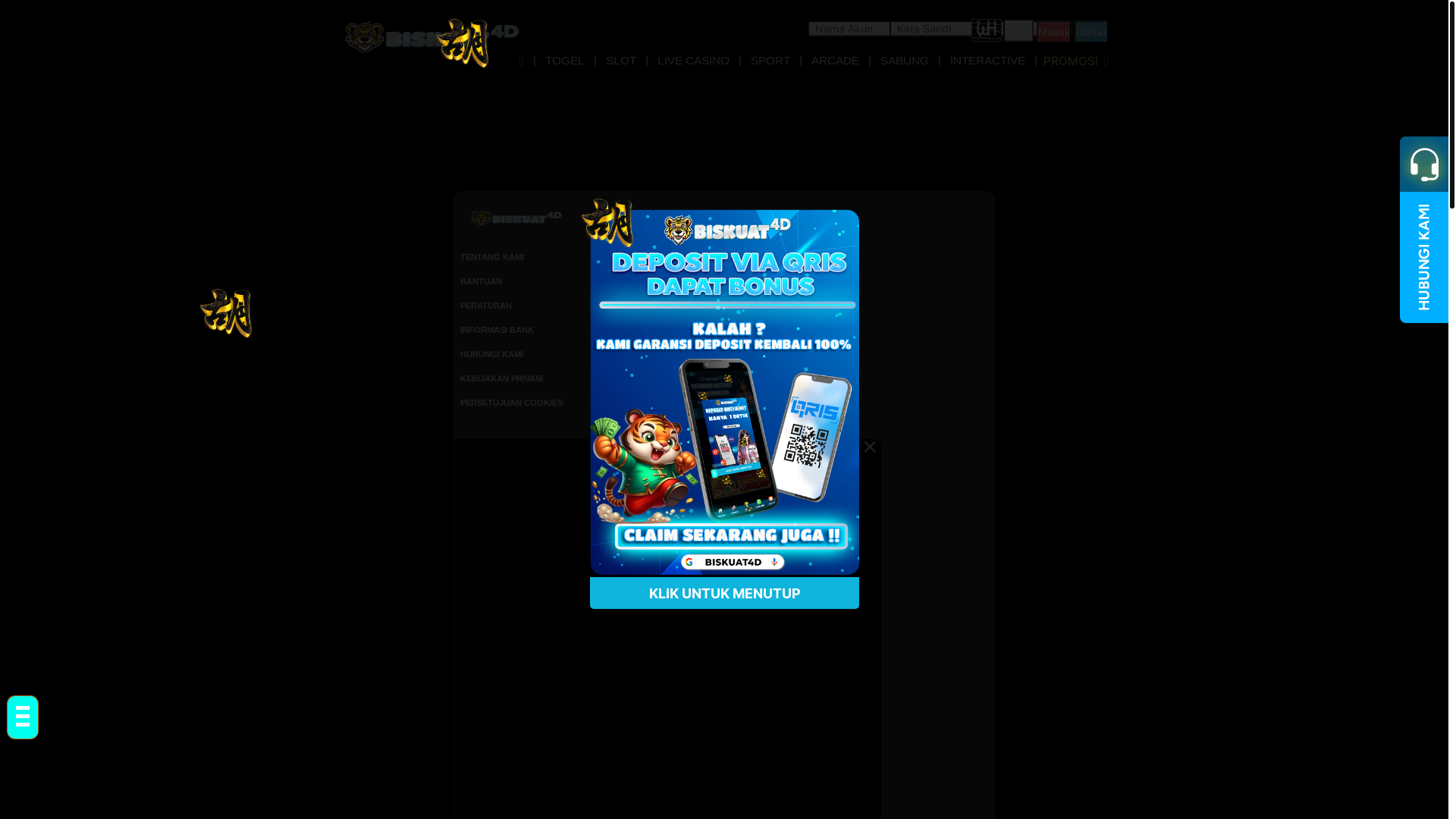 website screenshot of https://ayocek.xyz/