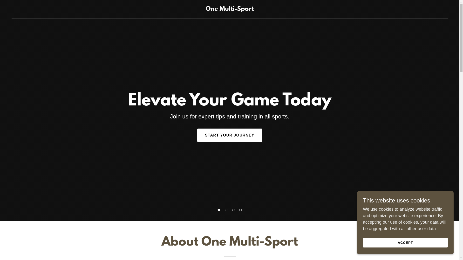 website screenshot of https://onemultisport.net/