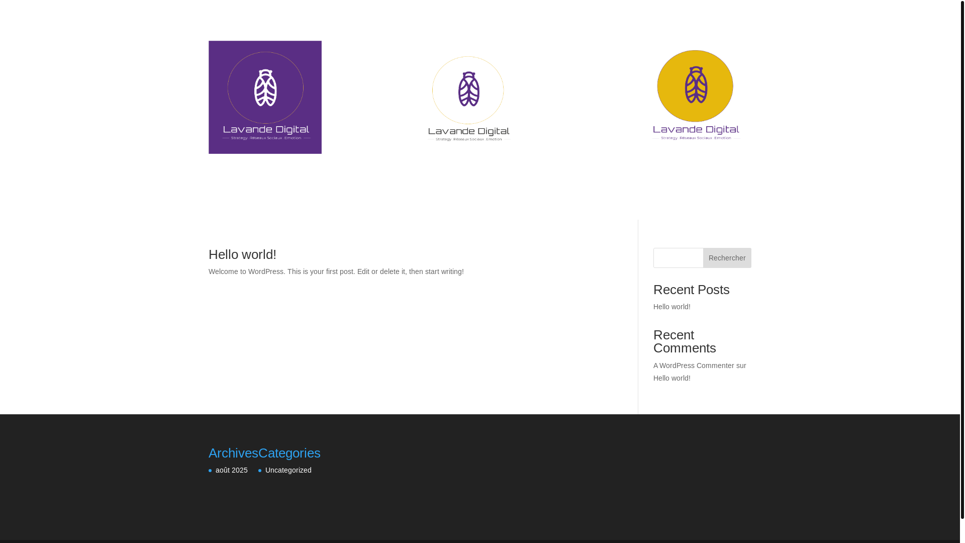 website screenshot of https://lavandedigital.fr/