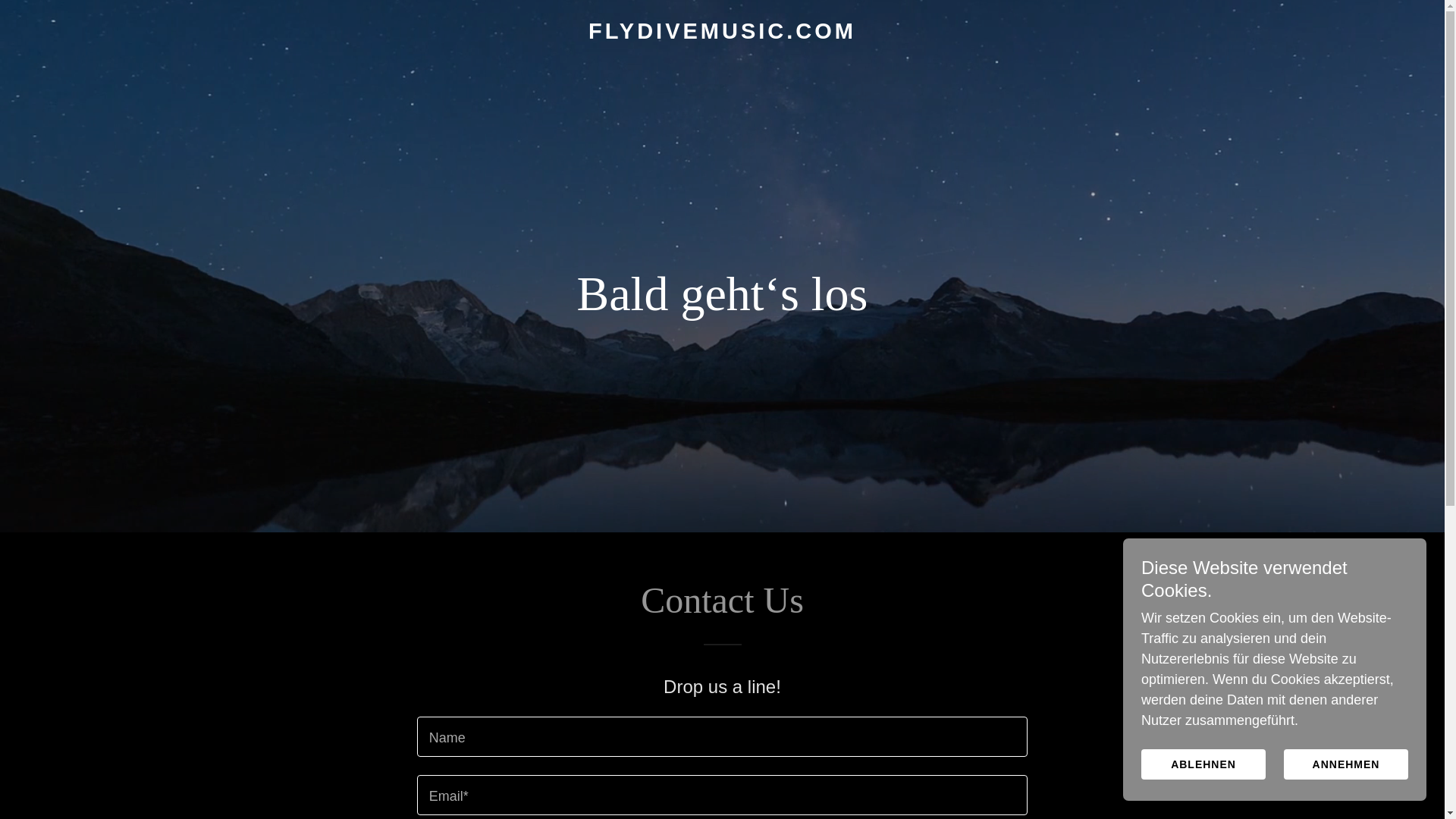 website screenshot of https://flydivemusic.com/