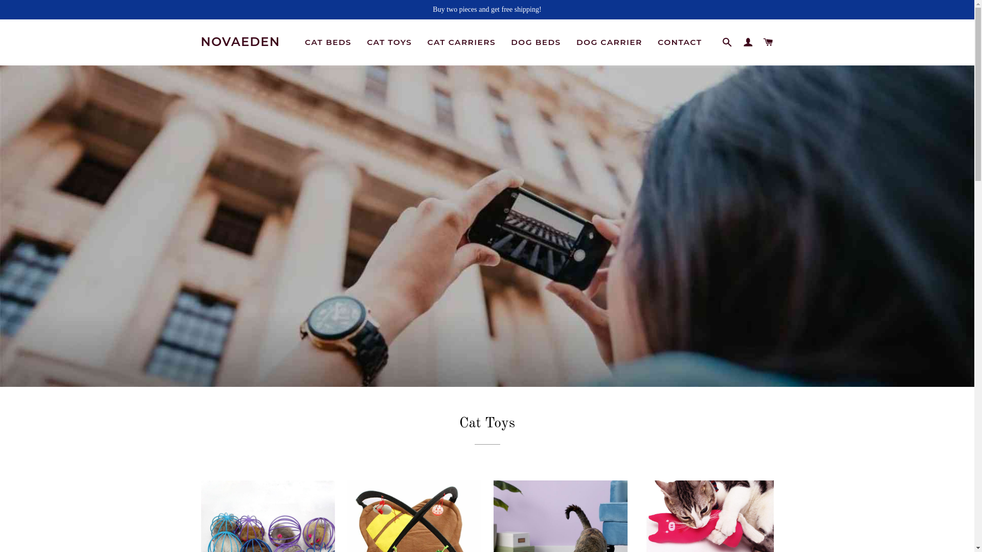 website screenshot of https://novaeden.top/
