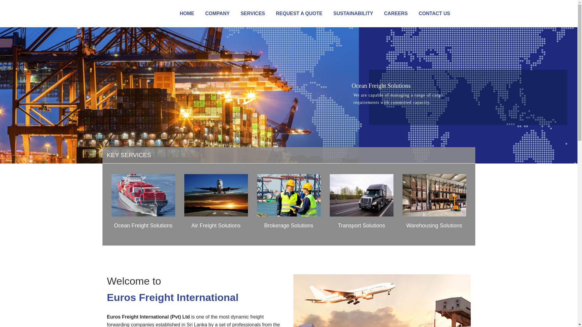 website screenshot of https://eurosfreight.com
