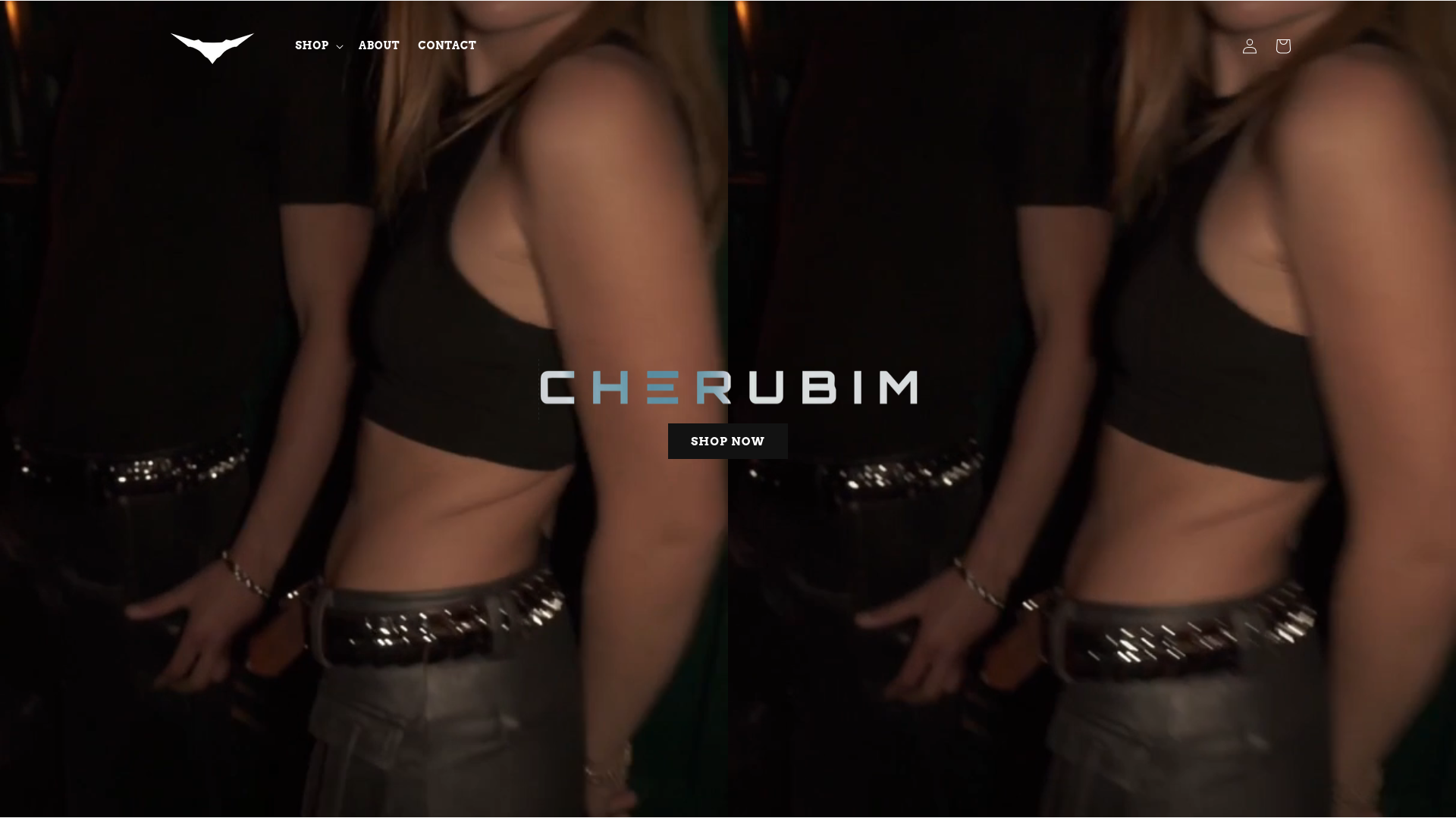 website screenshot of https://cherubim-engr.com/