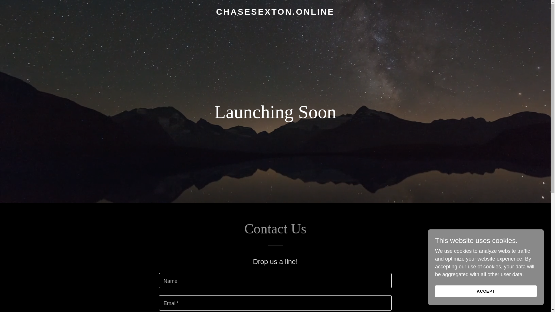 website screenshot of https://chasesexton.online/