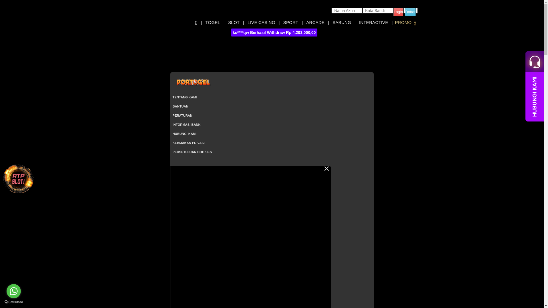 website screenshot of https://portogelomniknight.com/