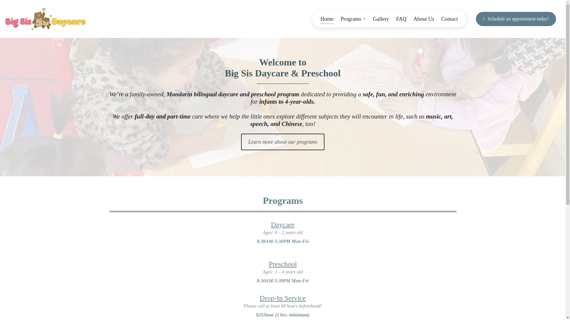 website screenshot of https://bigsisdaycare.com/