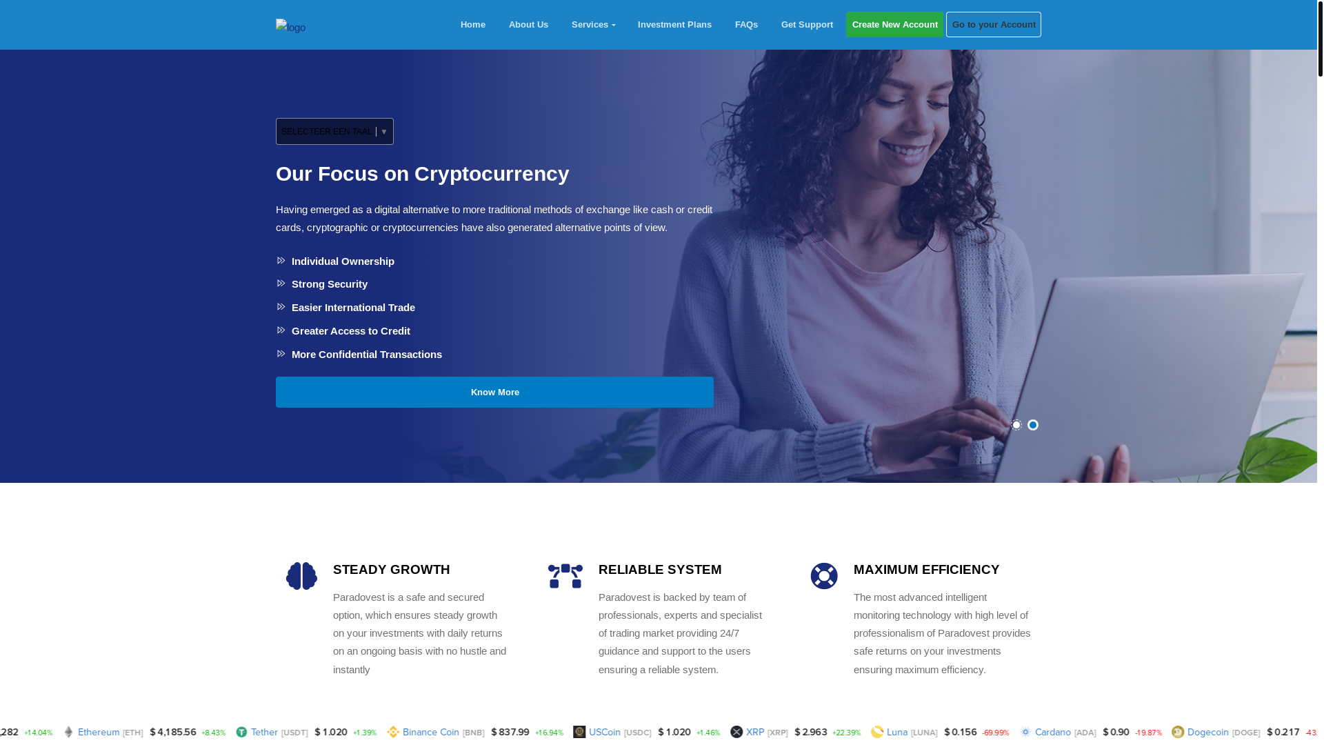 website screenshot of https://paradovest.com/