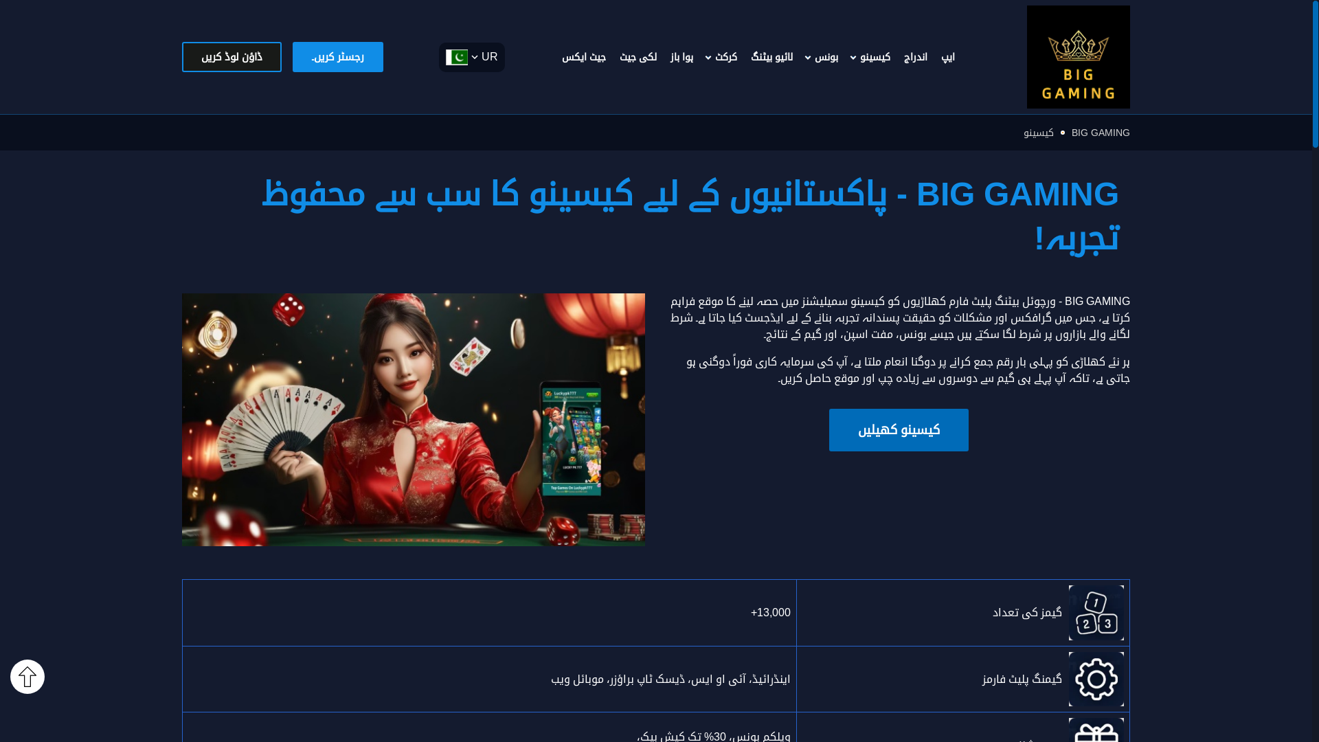 website screenshot of https://pk-biggaming.com/