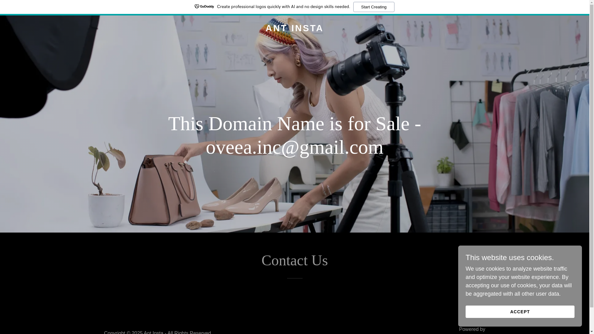 website screenshot of https://antinsta.com/