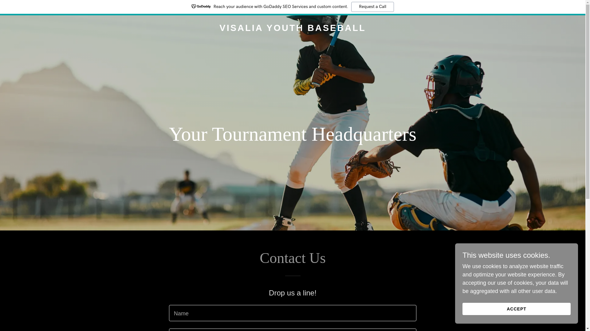 website screenshot of https://vybtournaments.com/