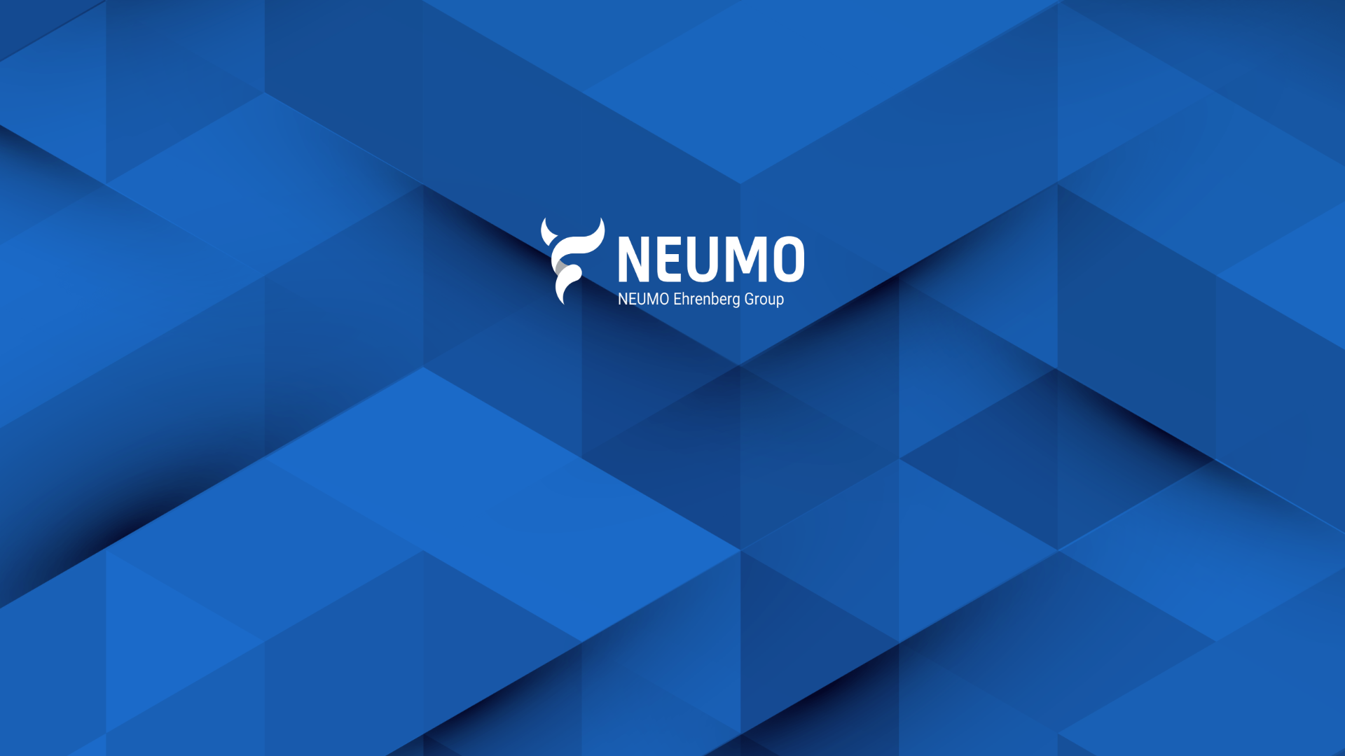 website screenshot of https://neumoukltd.co.uk/