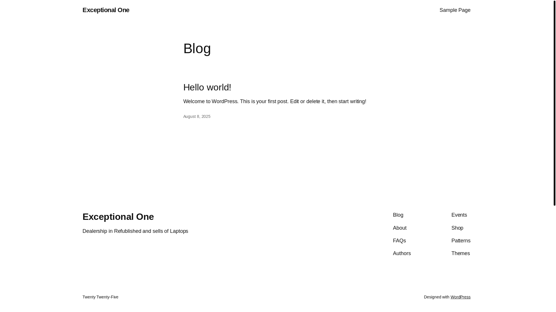 website screenshot of https://exceptionalsonepc.com/