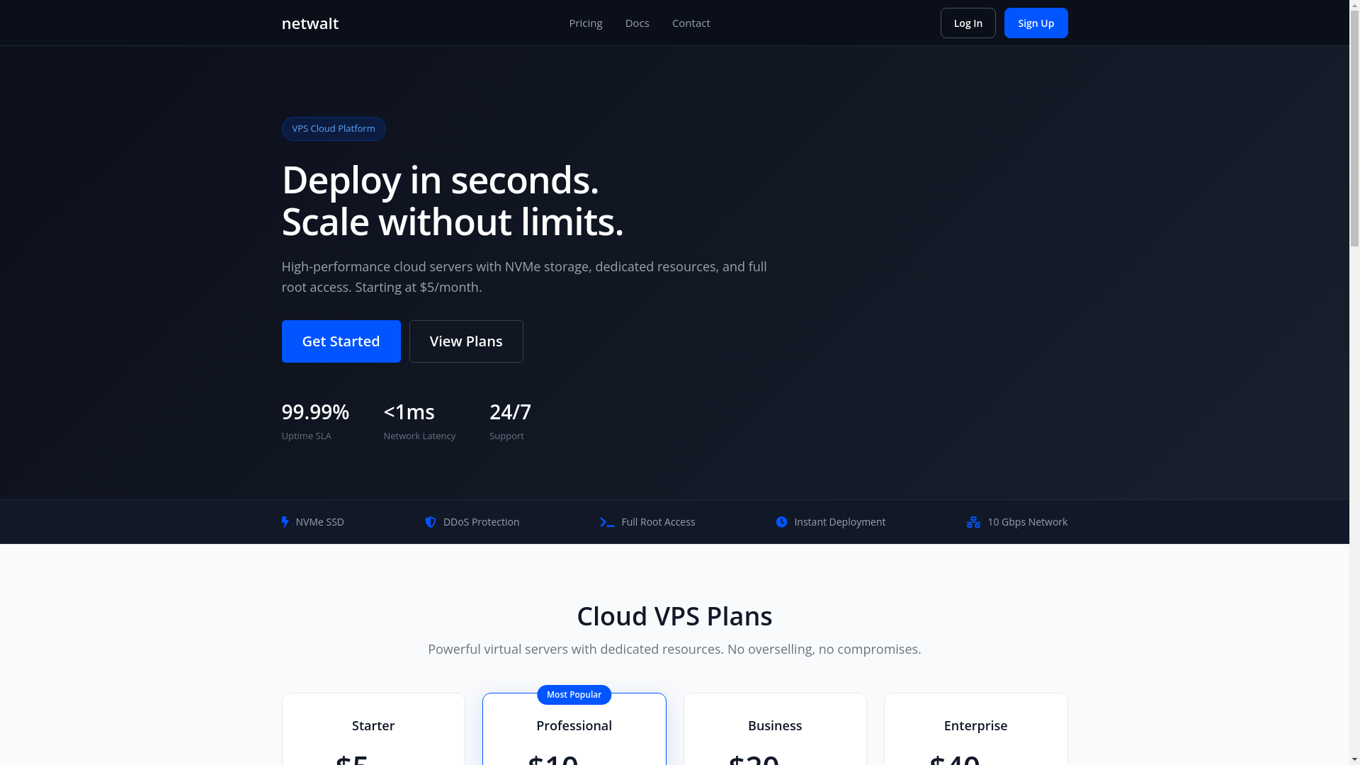 website screenshot of https://netwalt.com/