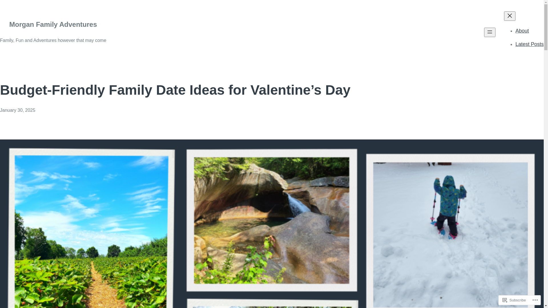 website screenshot of https://morganfamilyadventure.com/