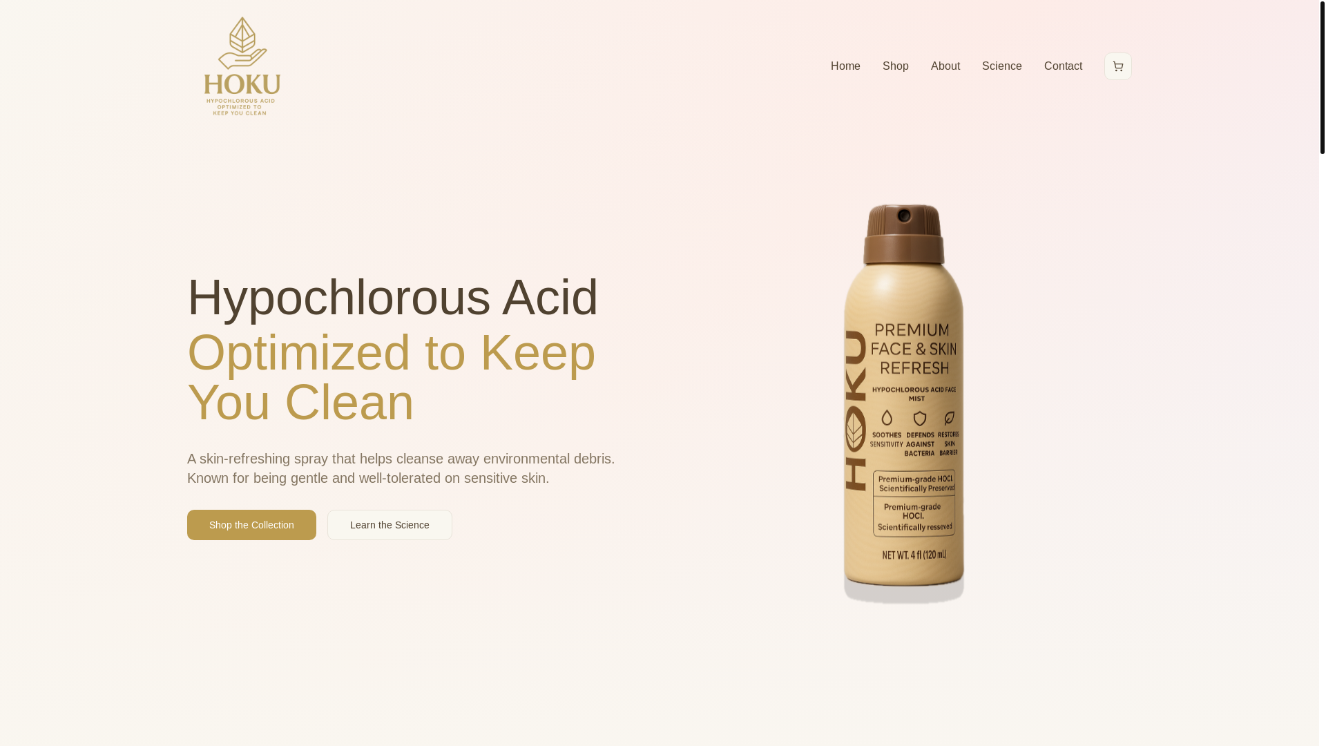 website screenshot of https://hoku-clean.com/