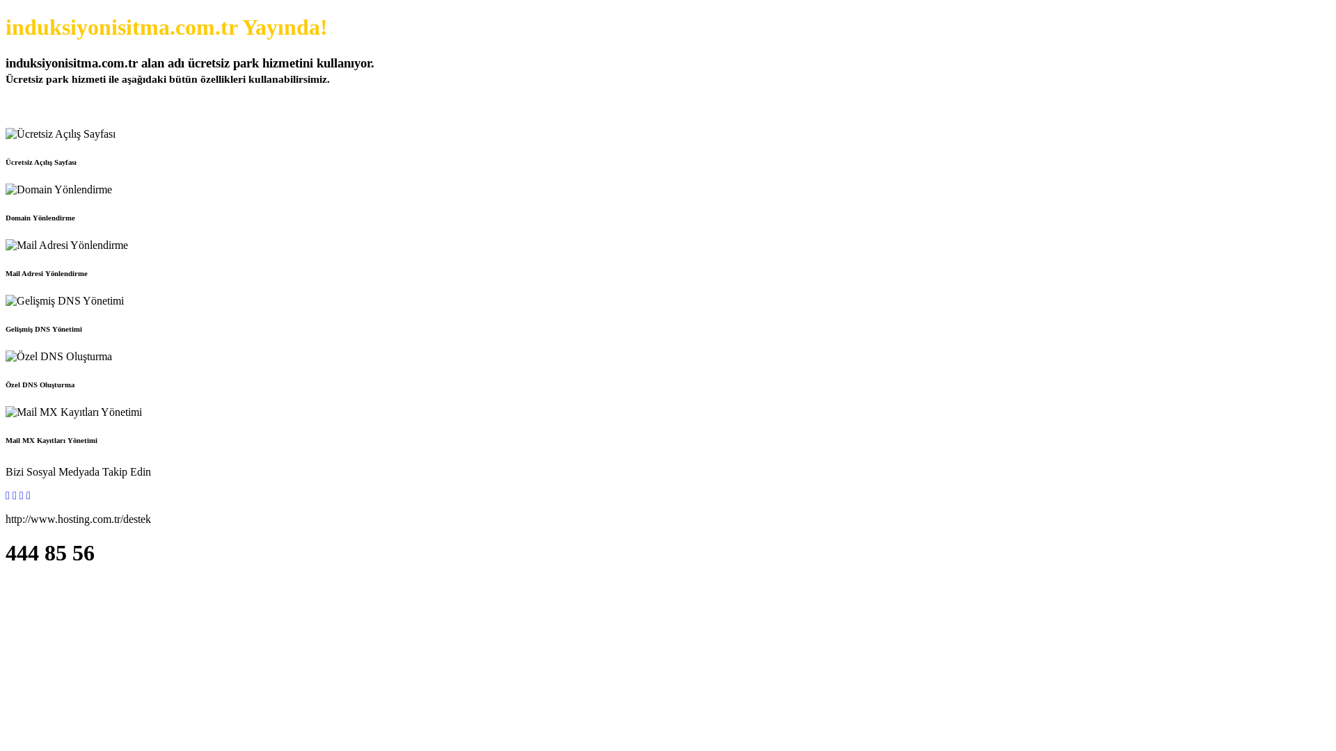 website screenshot of https://induksiyonisitma.com.tr/