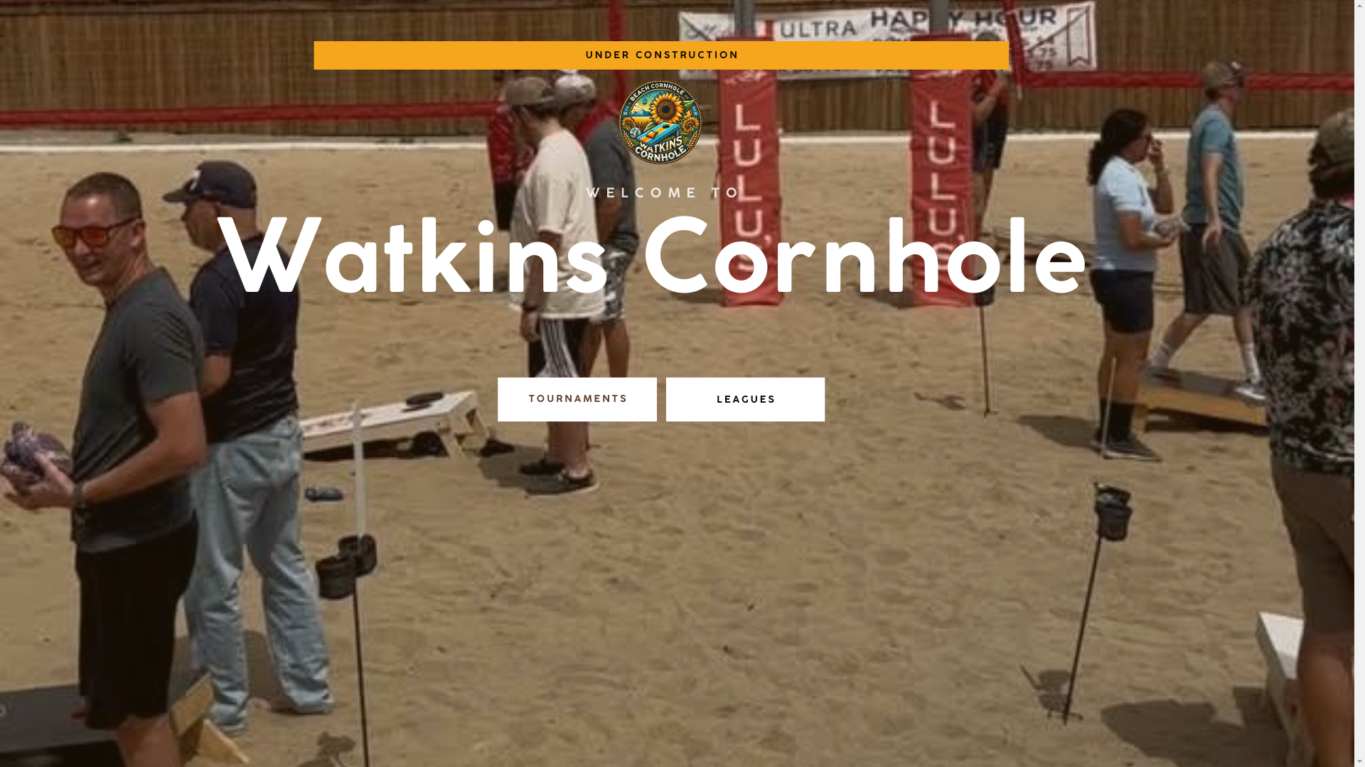 website screenshot of https://watkinscornhole.com/