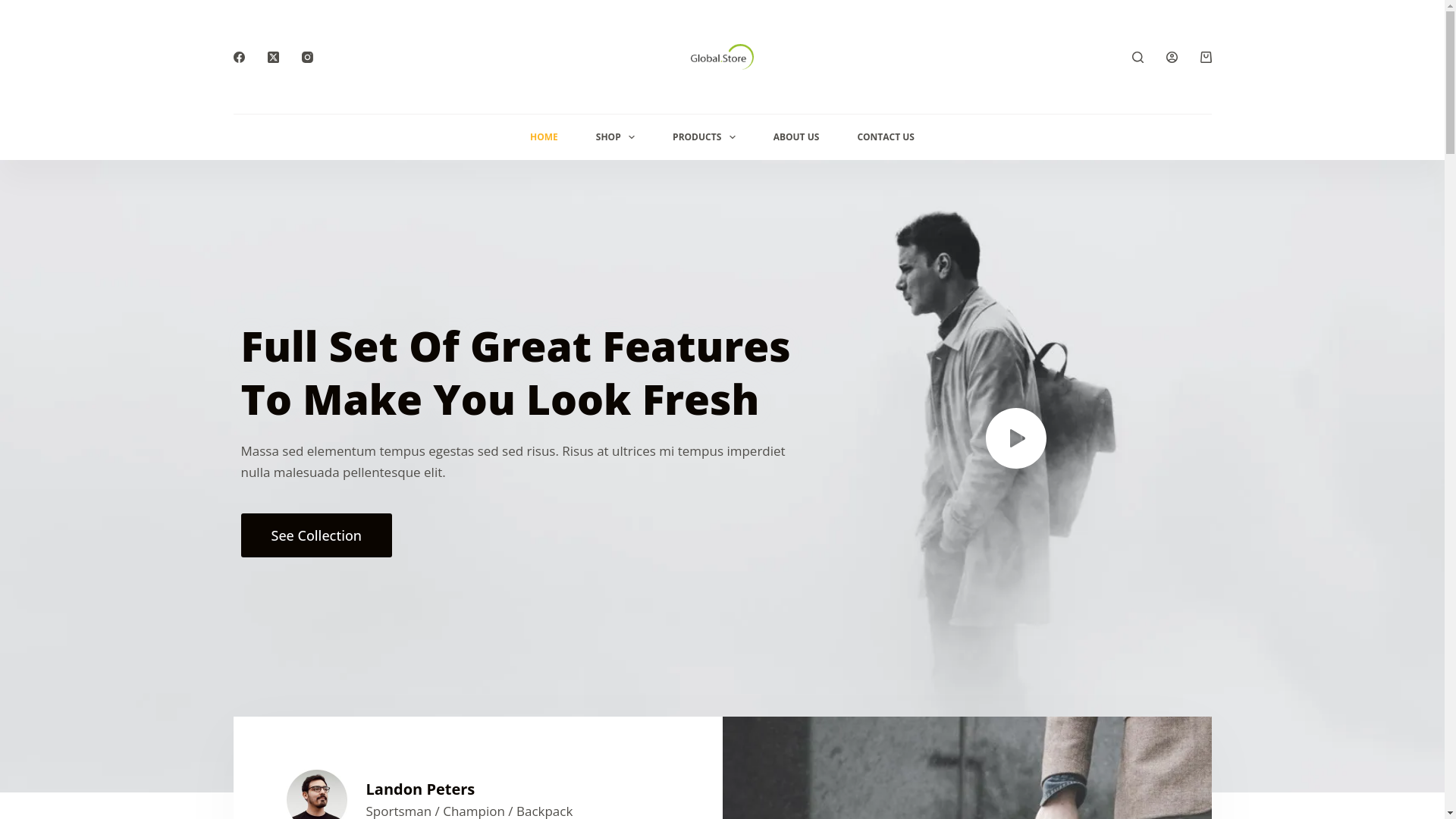 website screenshot of https://hunanpengchen.shop/