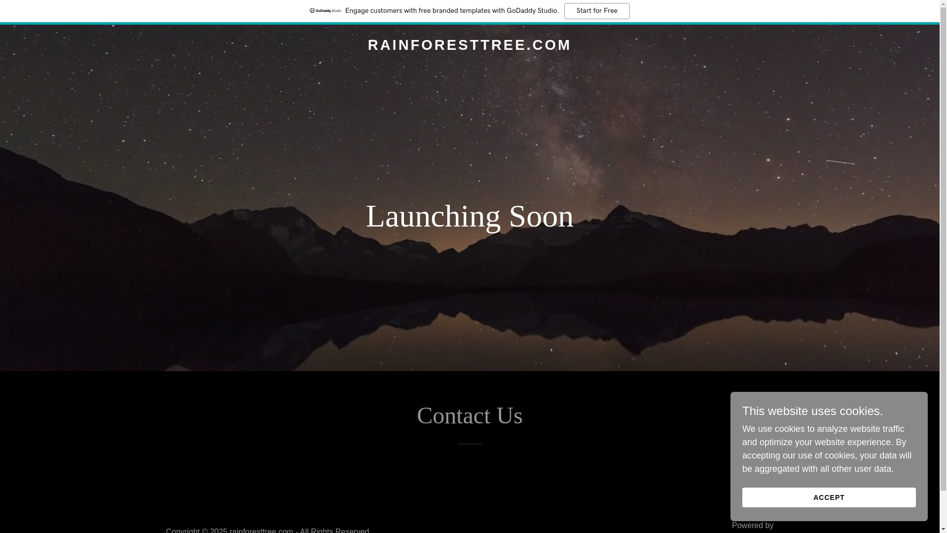 website screenshot of https://rainforesttree.com/