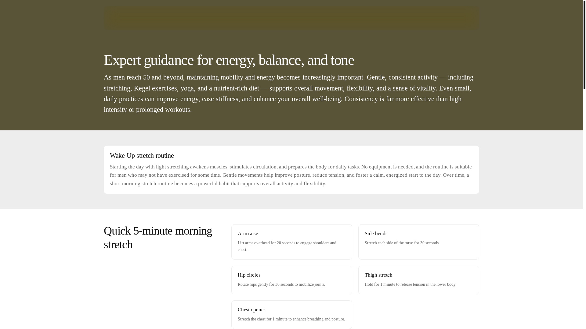 website screenshot of https://fleximenguideb.info/