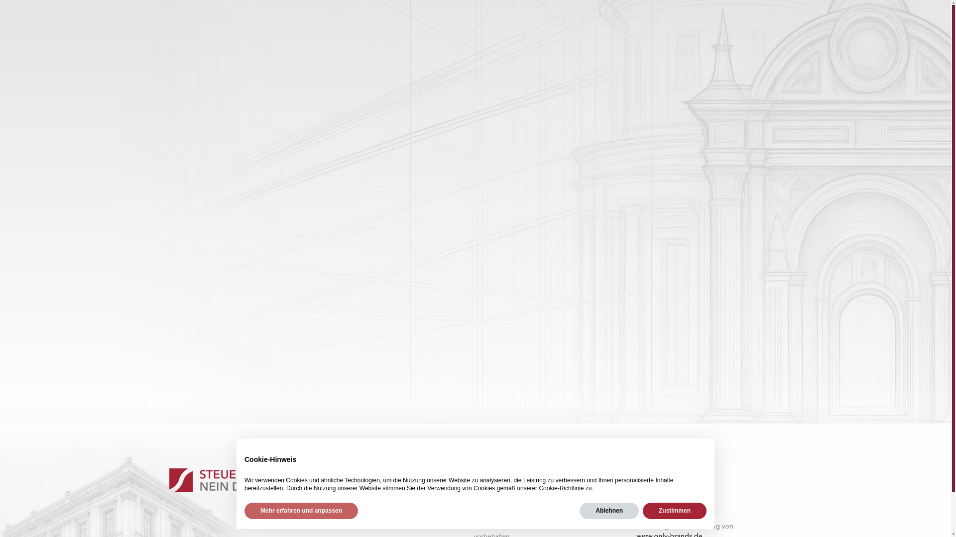 website screenshot of https://steuernneindanke.de/