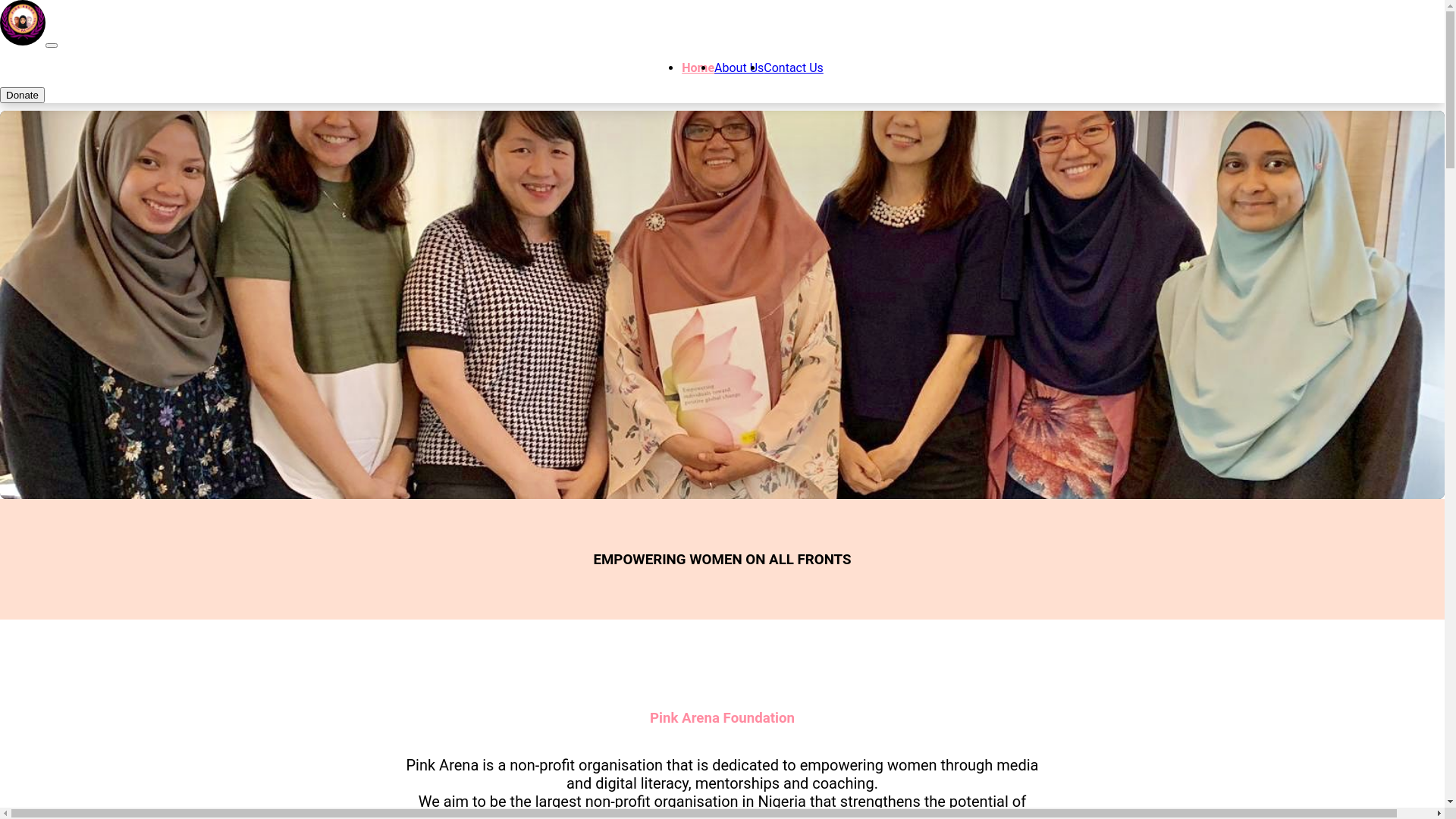 website screenshot of https://pinkarena.org/