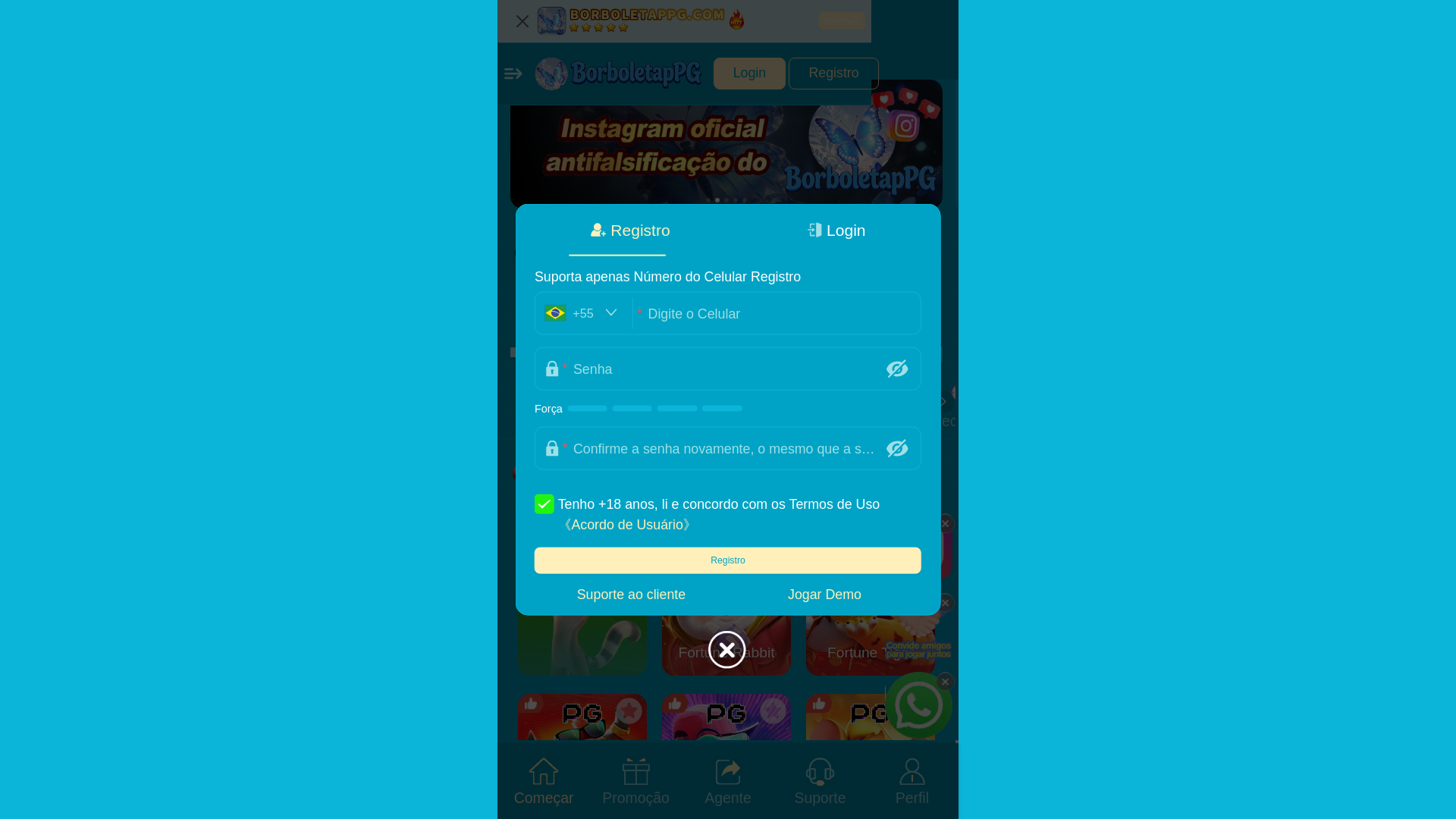 website screenshot of https://borboletappg.com/