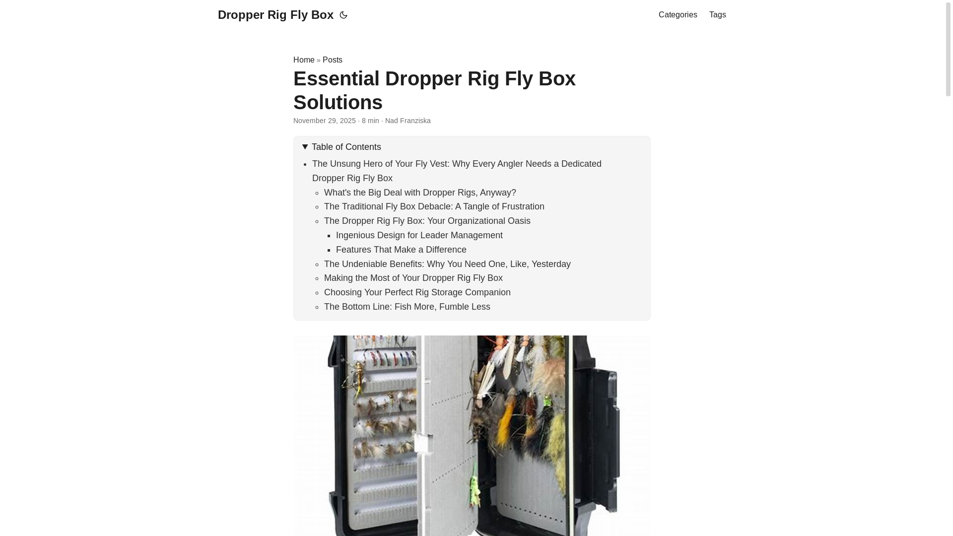 website screenshot of https://dropperrigflybox.pages.dev/