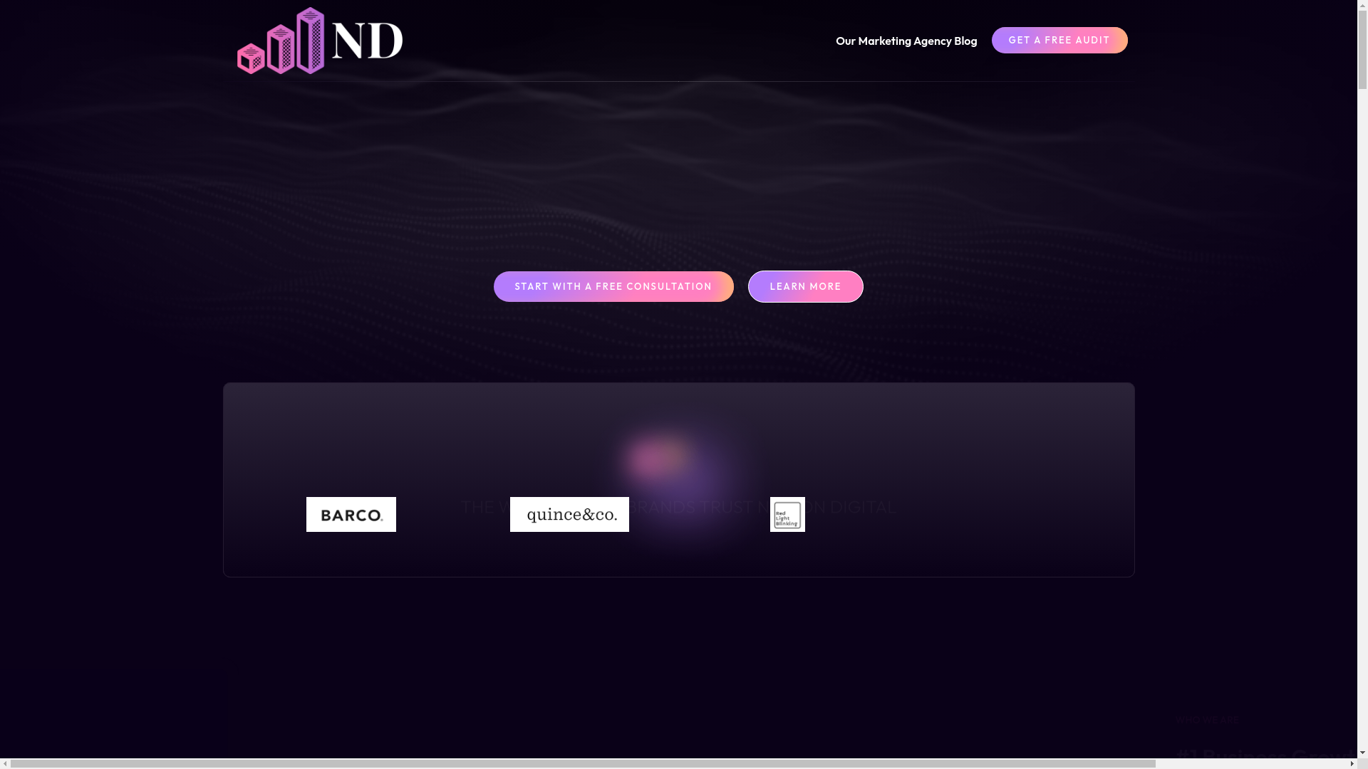 website screenshot of https://trustnelsondigital.com/