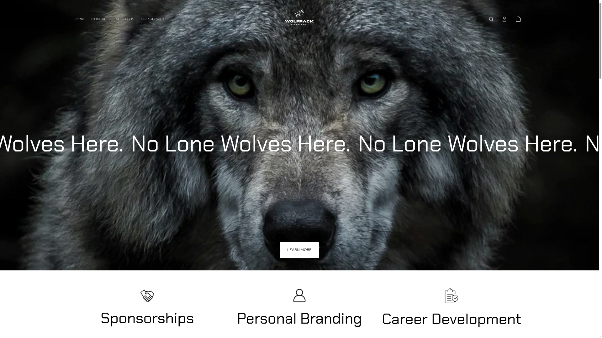 website screenshot of https://theblackwolfmgmt.com/