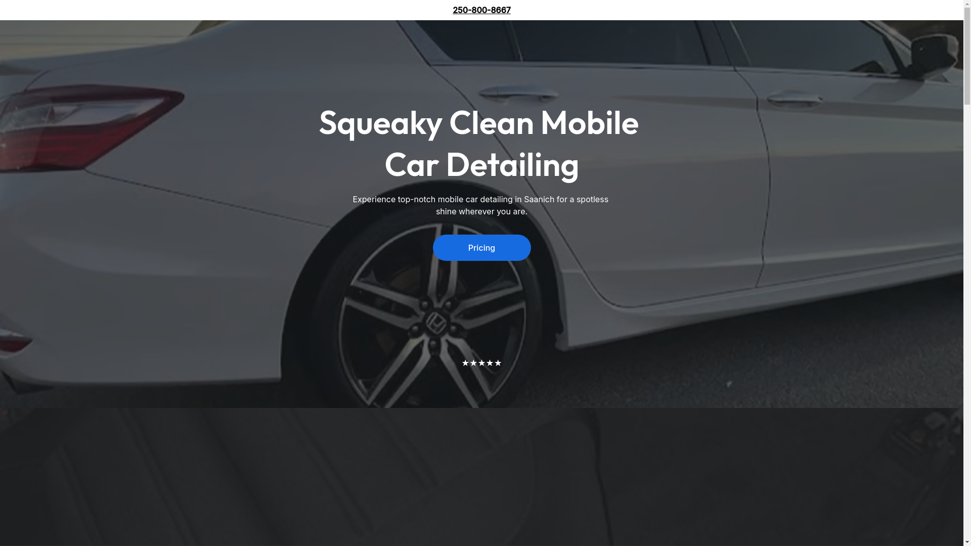 website screenshot of https://squeakycleancardetailing.shop/