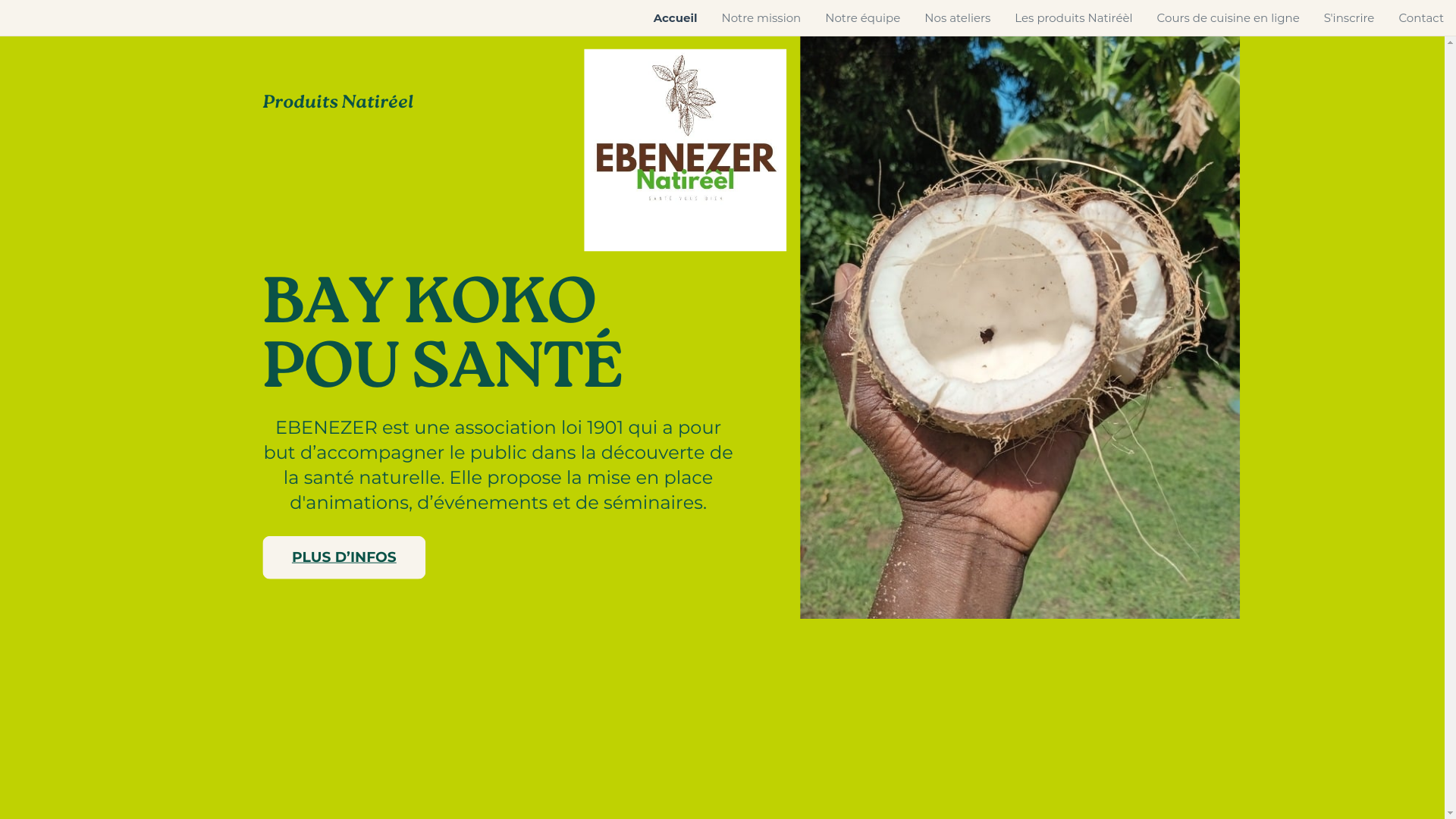 website screenshot of https://baykokopousante.com/