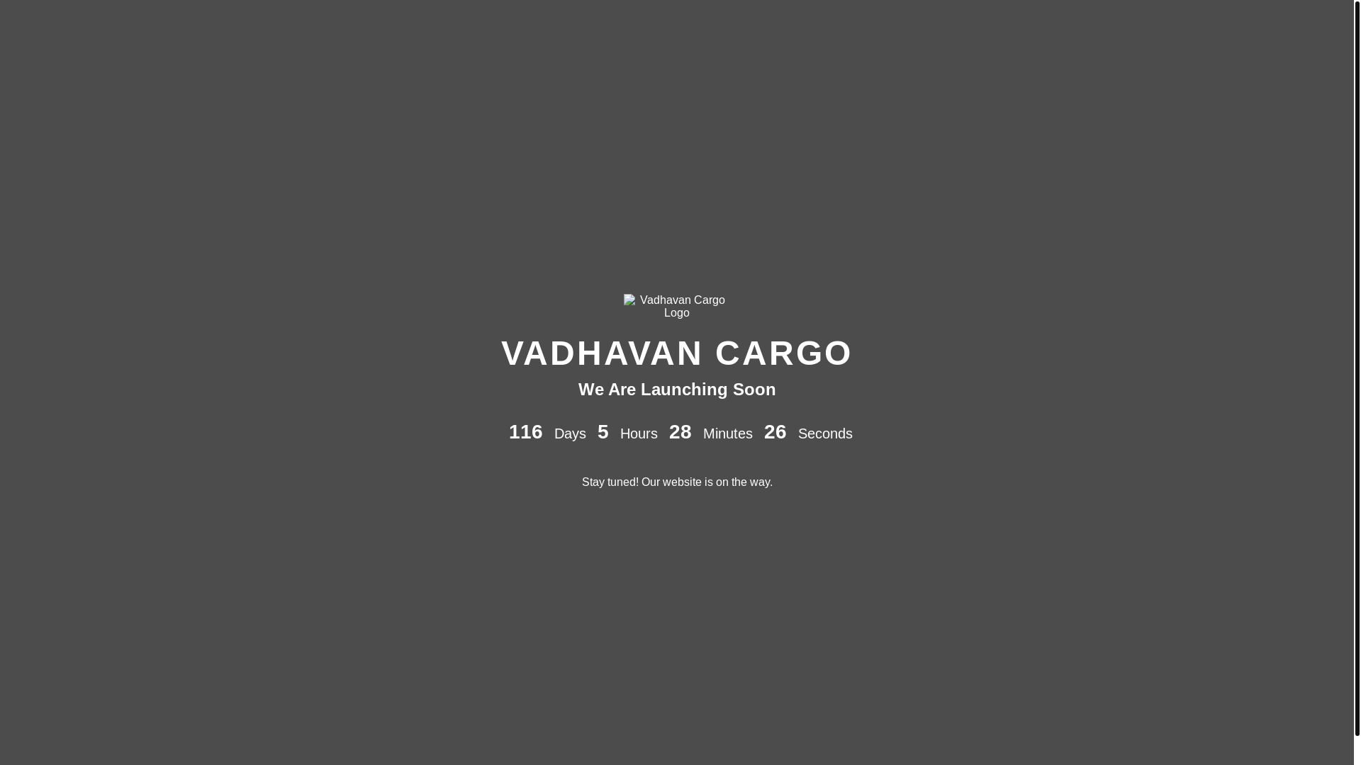 website screenshot of https://vadhavancargo.com/