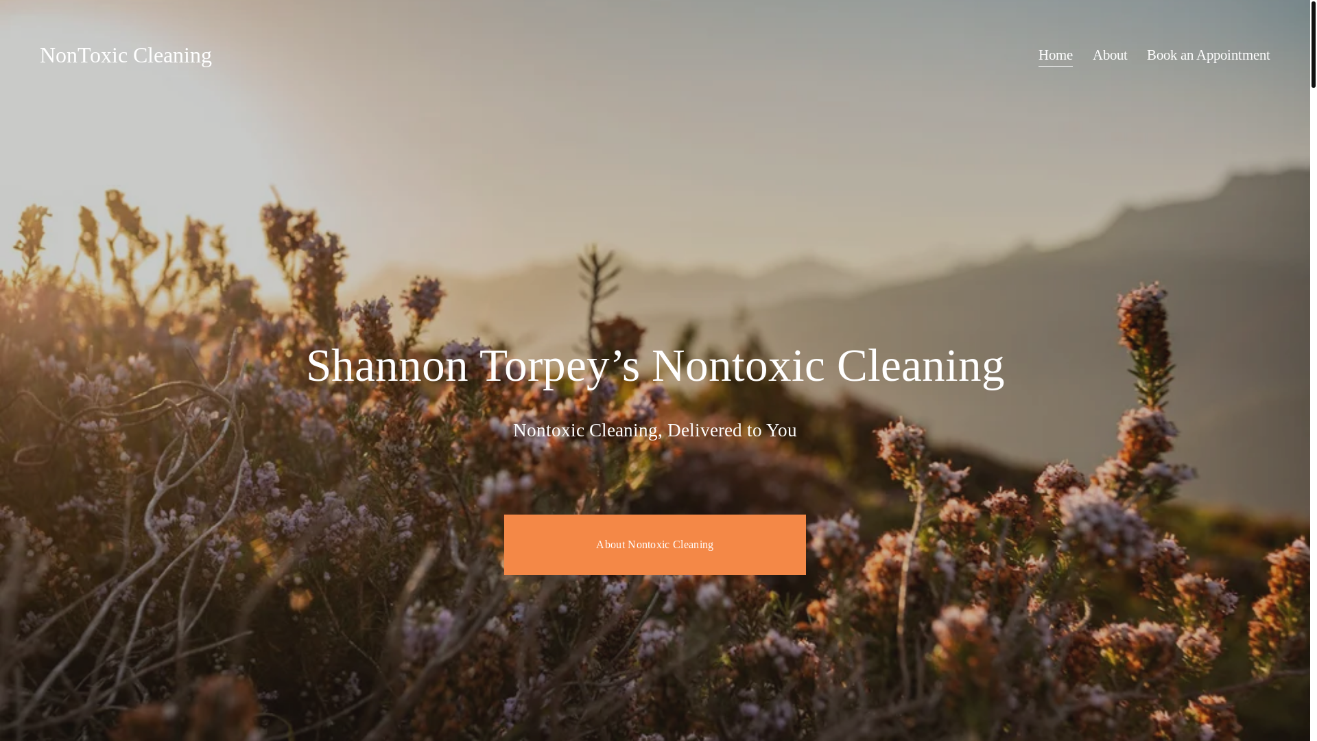 website screenshot of https://nontoxiccleaning.org/