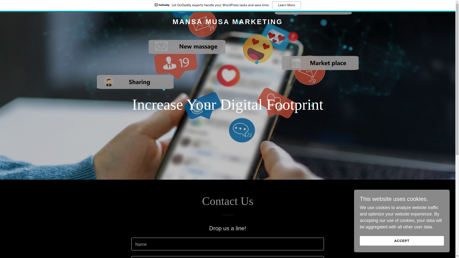 website screenshot of https://mansamusamarketing.com/