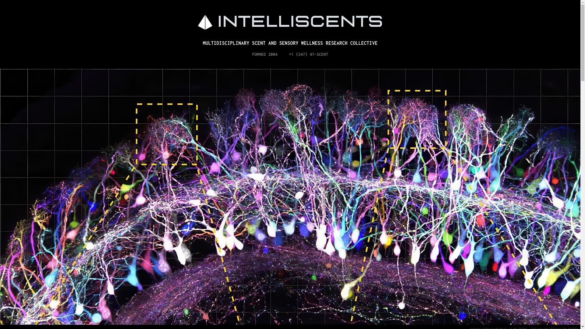 website screenshot of https://intelliscents.com