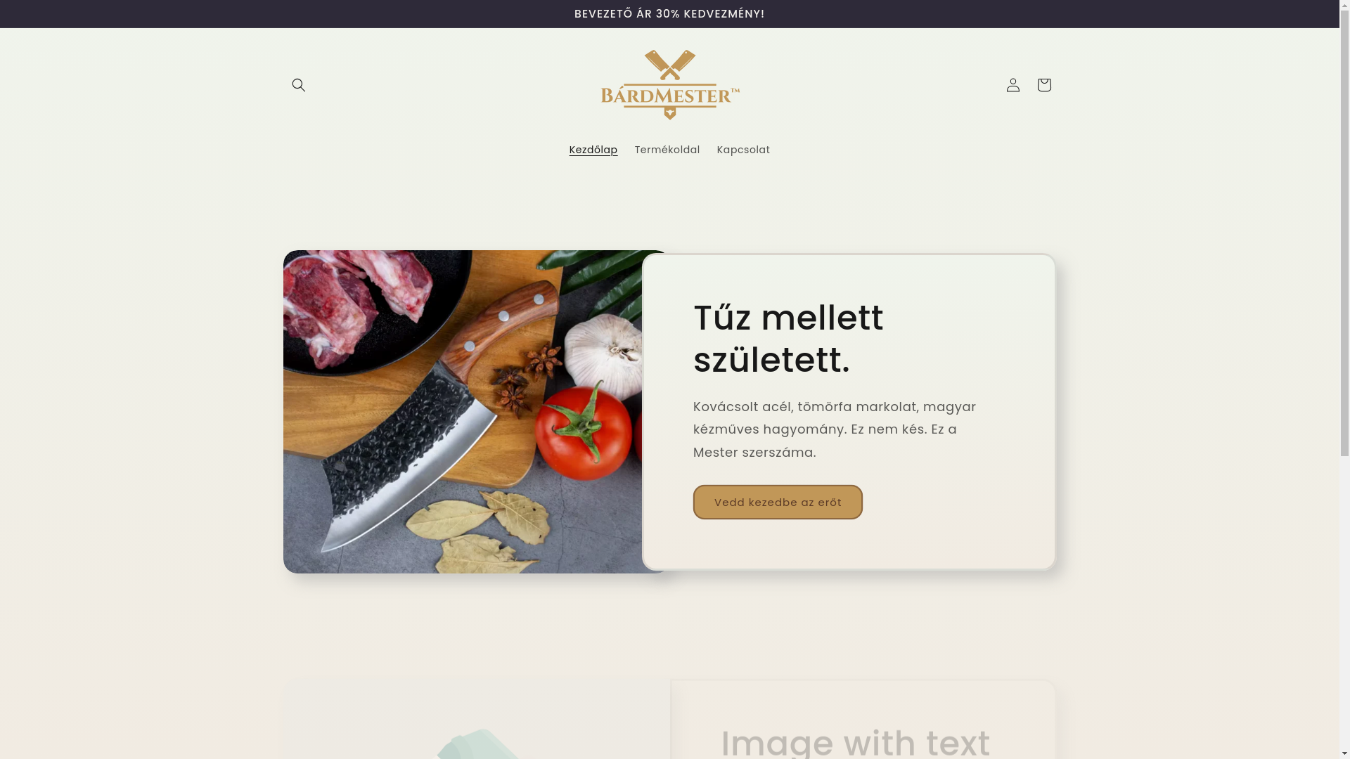website screenshot of https://bardmester.com/