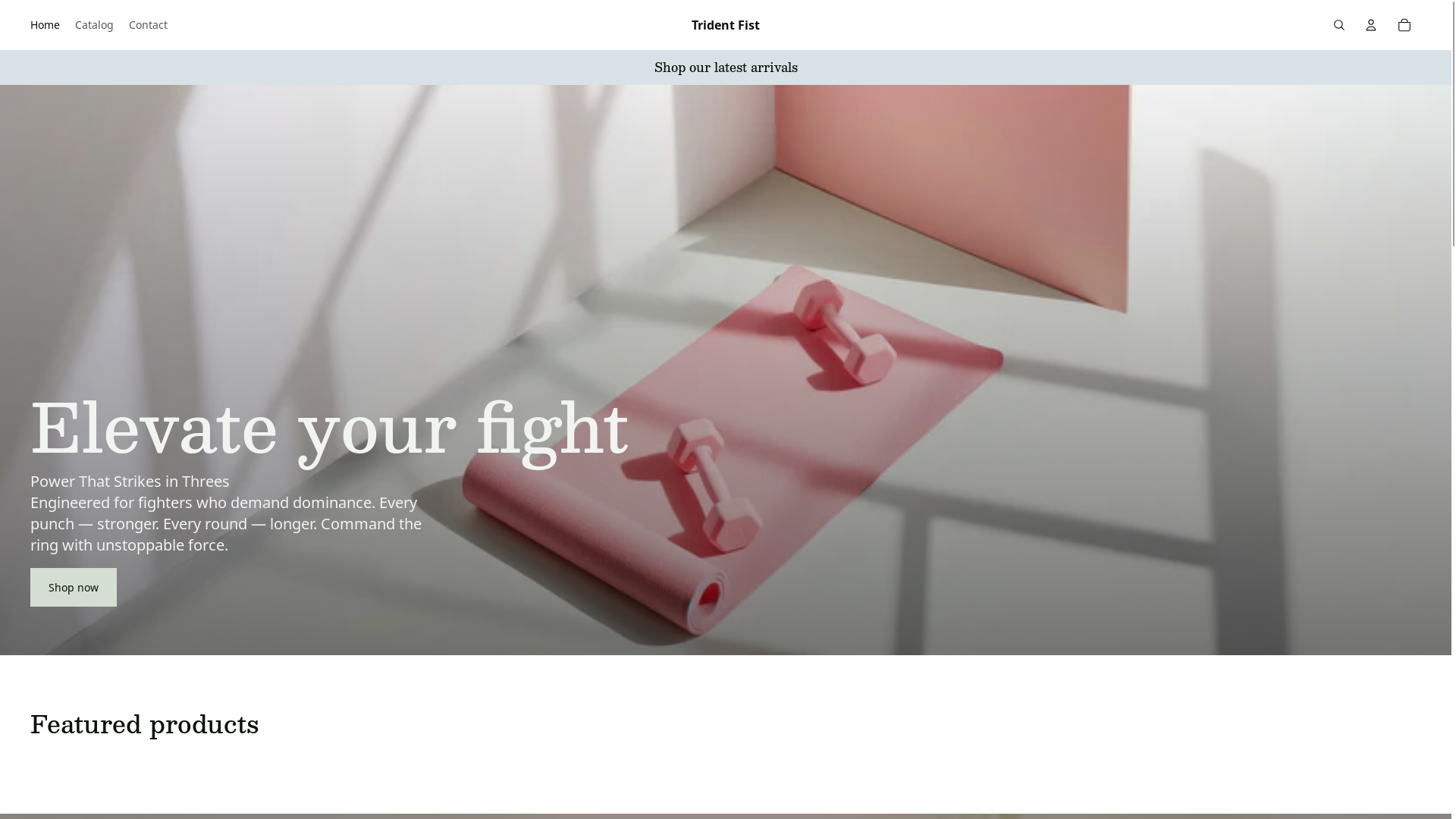 website screenshot of https://tridentfist.com/