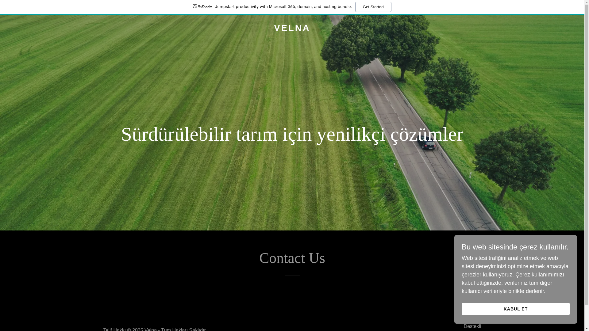 website screenshot of https://velna.org/