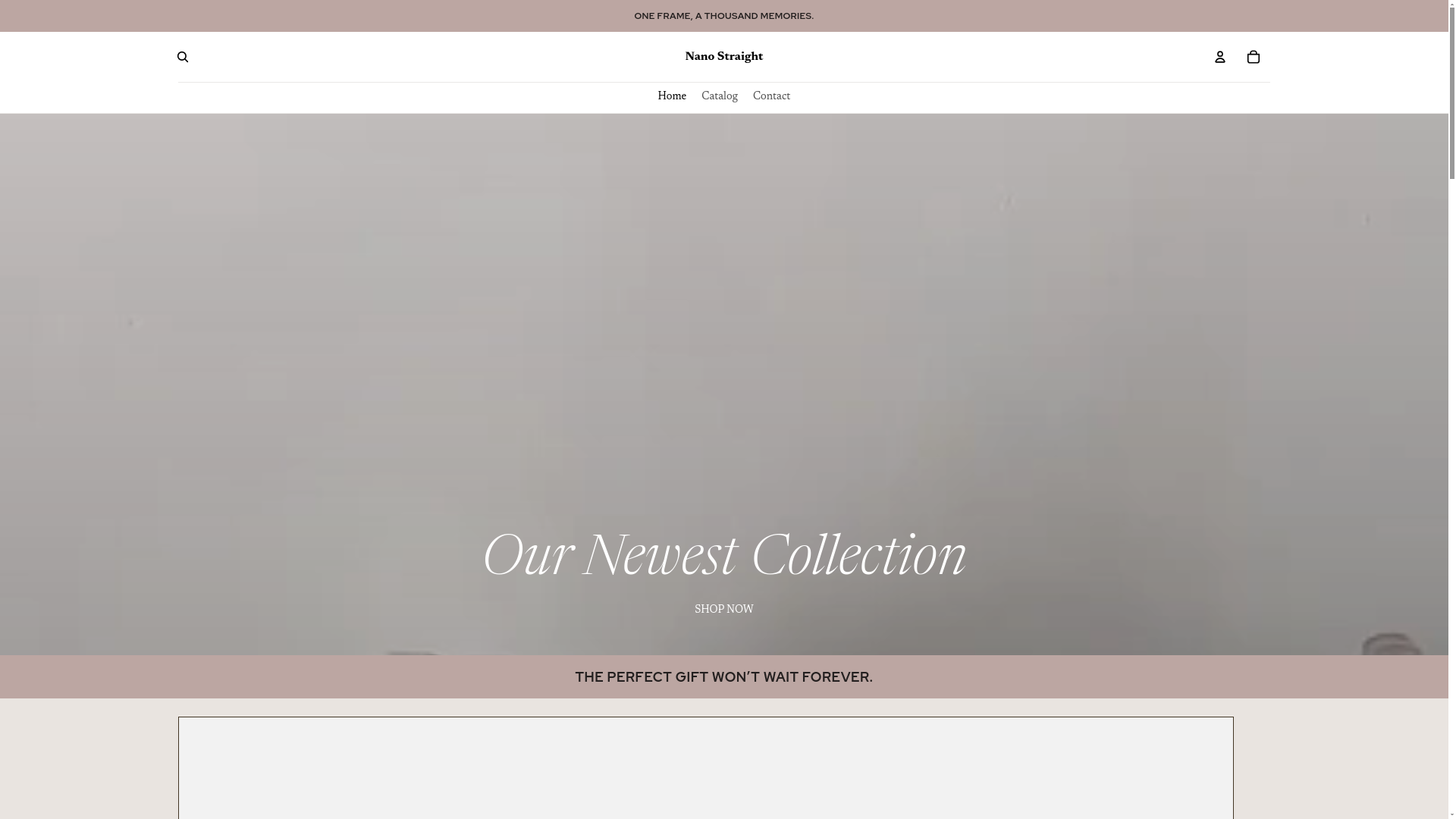 website screenshot of https://nanostraightpro.com/