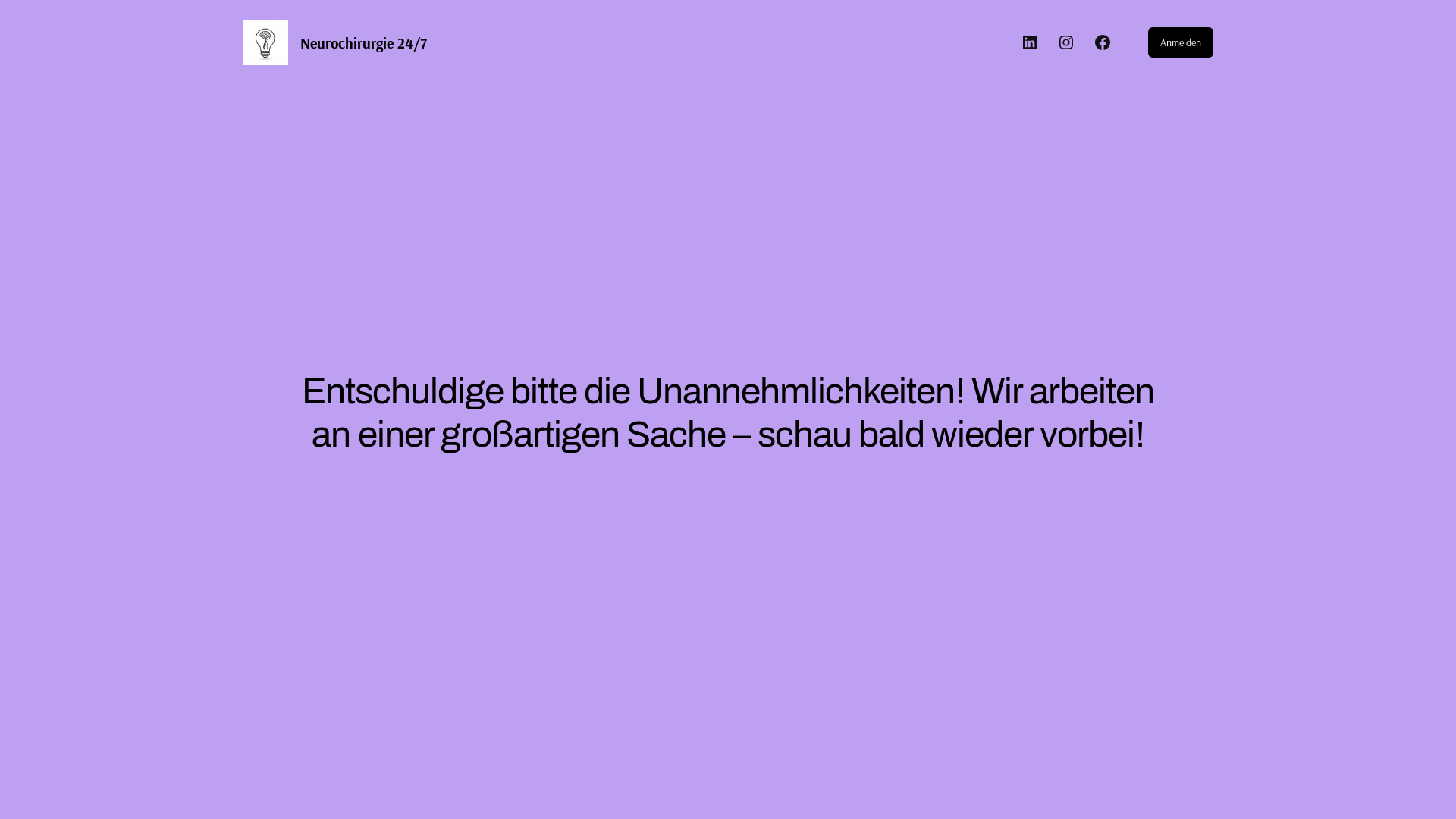 website screenshot of https://prof-westermaier.de/