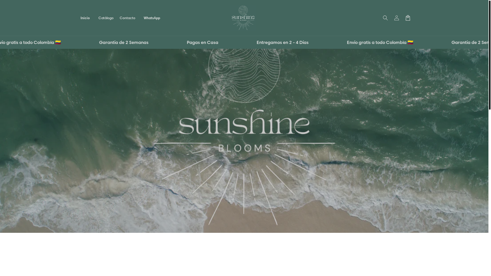 website screenshot of https://sunshineblooms.lat/